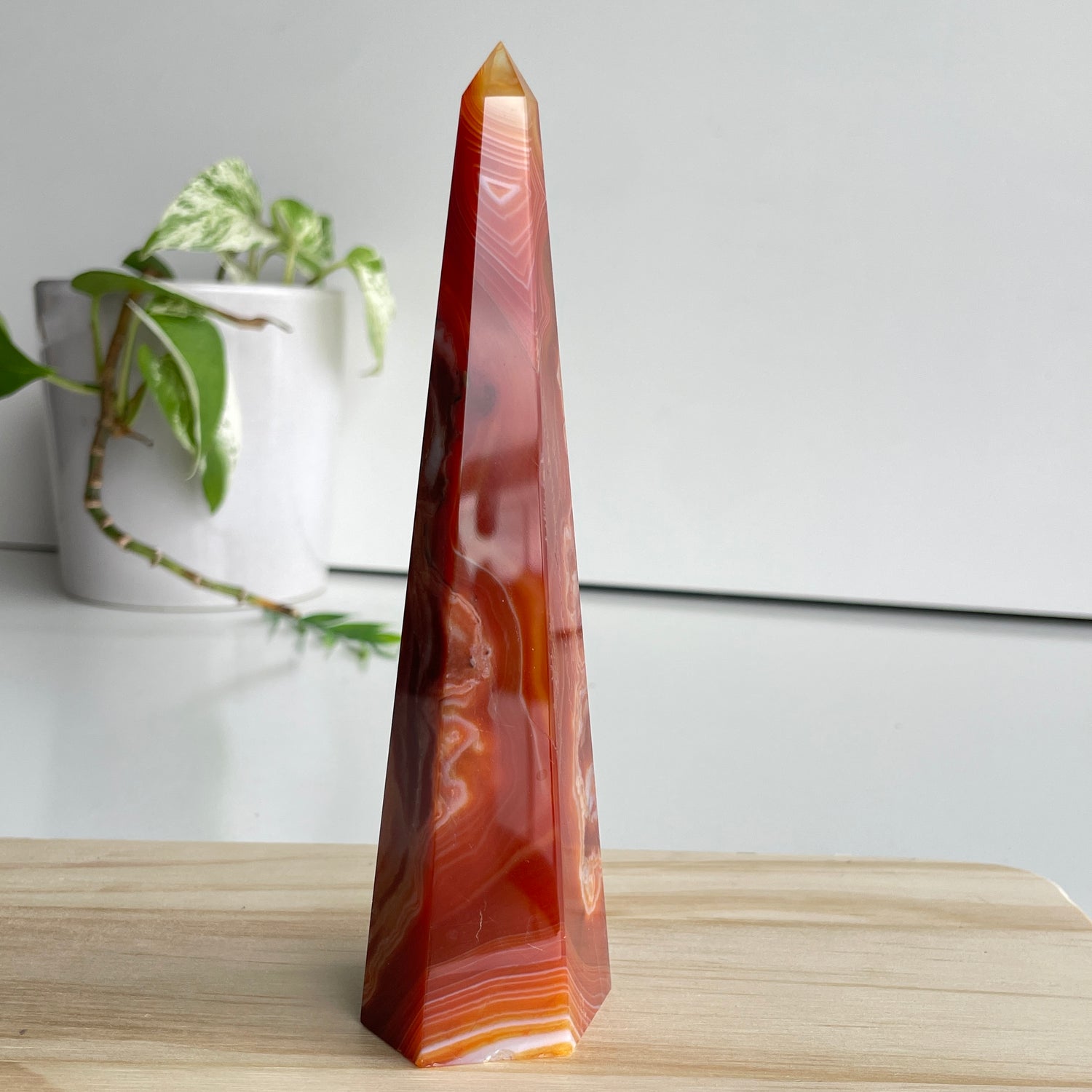 Carnelian Point 15.7cm
