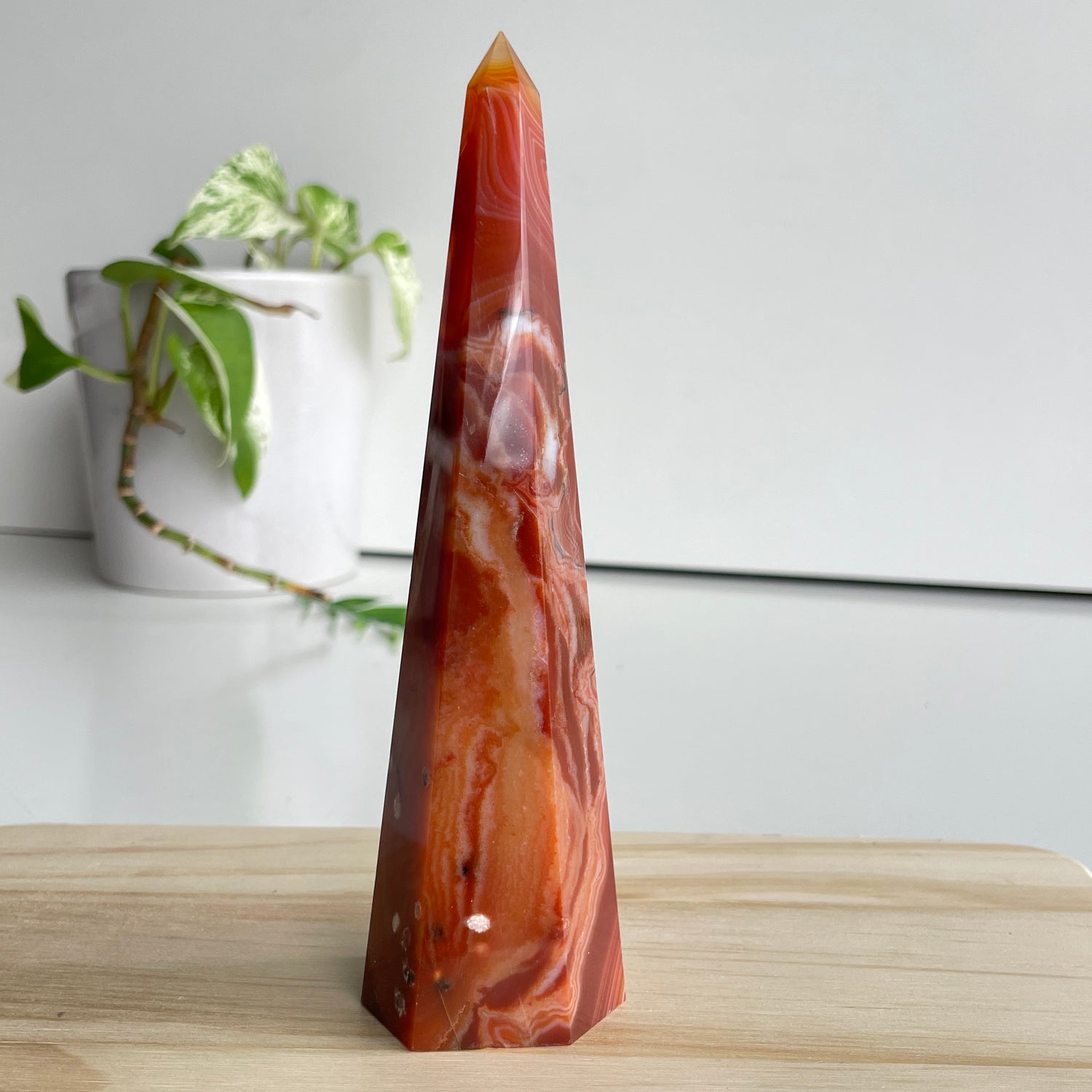 Carnelian Point 15.7cm