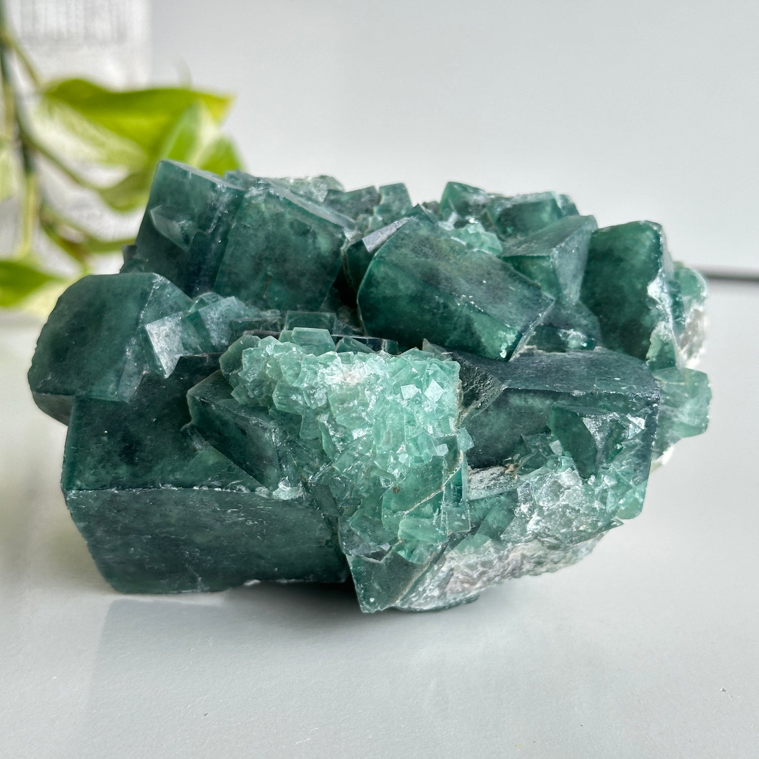Cubic Fluorite Cluster 1.026kg