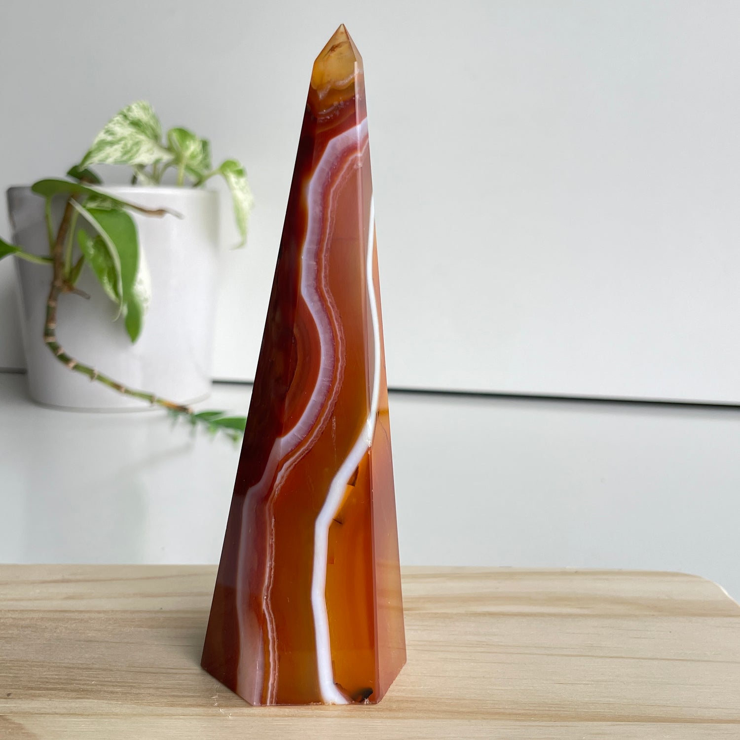 Carnelian Point 15.5cm