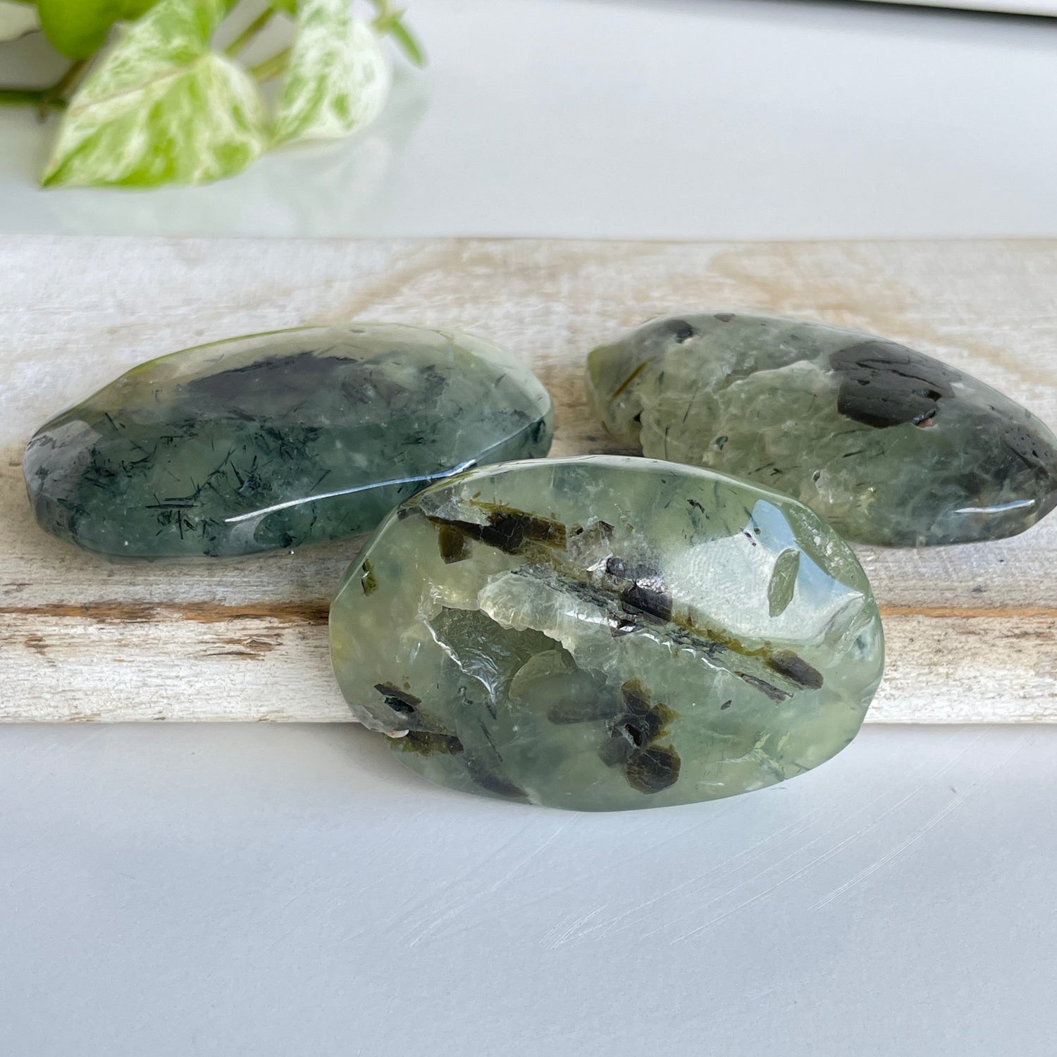Prehnite Palmstone Medium