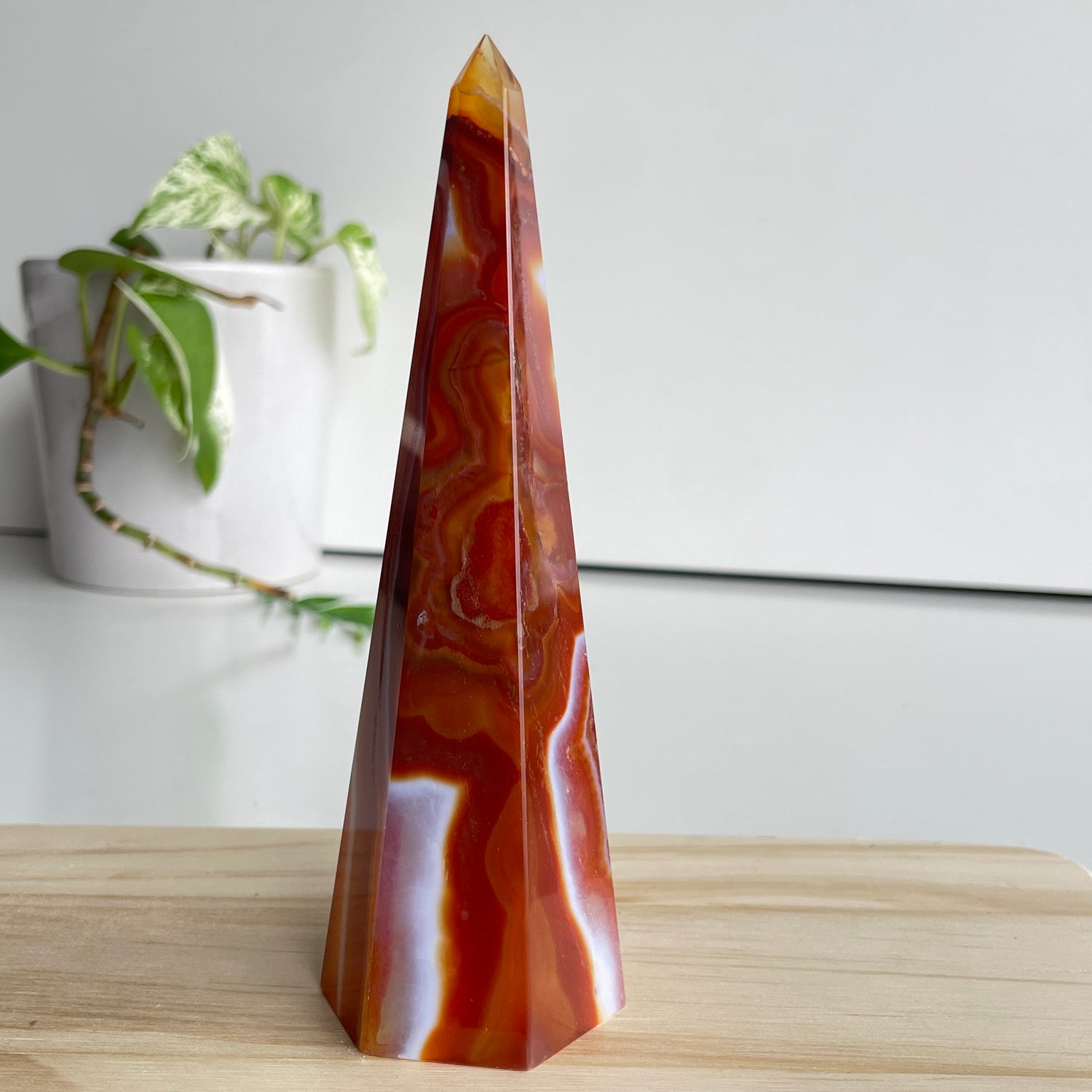 Carnelian Point 15.5cm