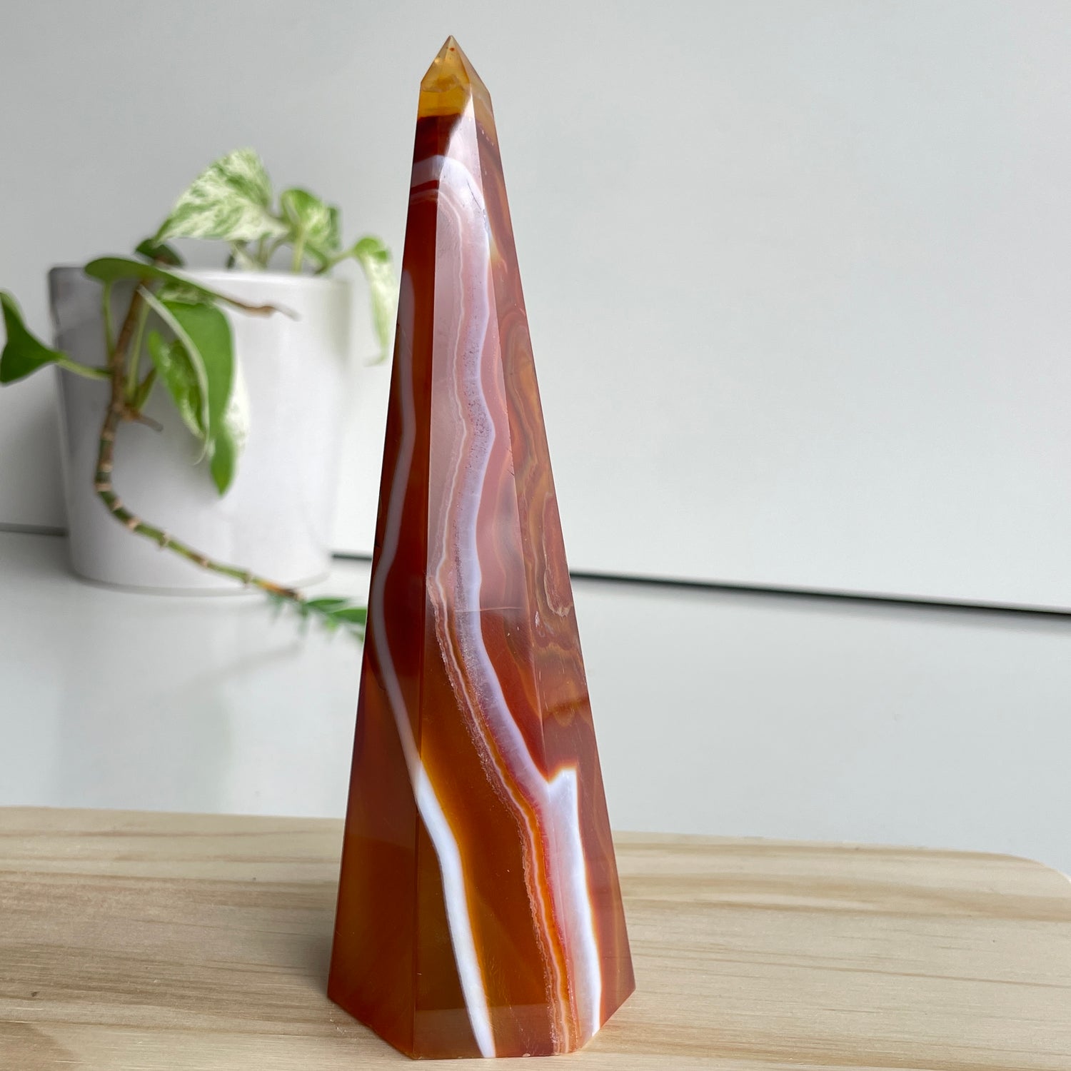 Carnelian Point 15.5cm