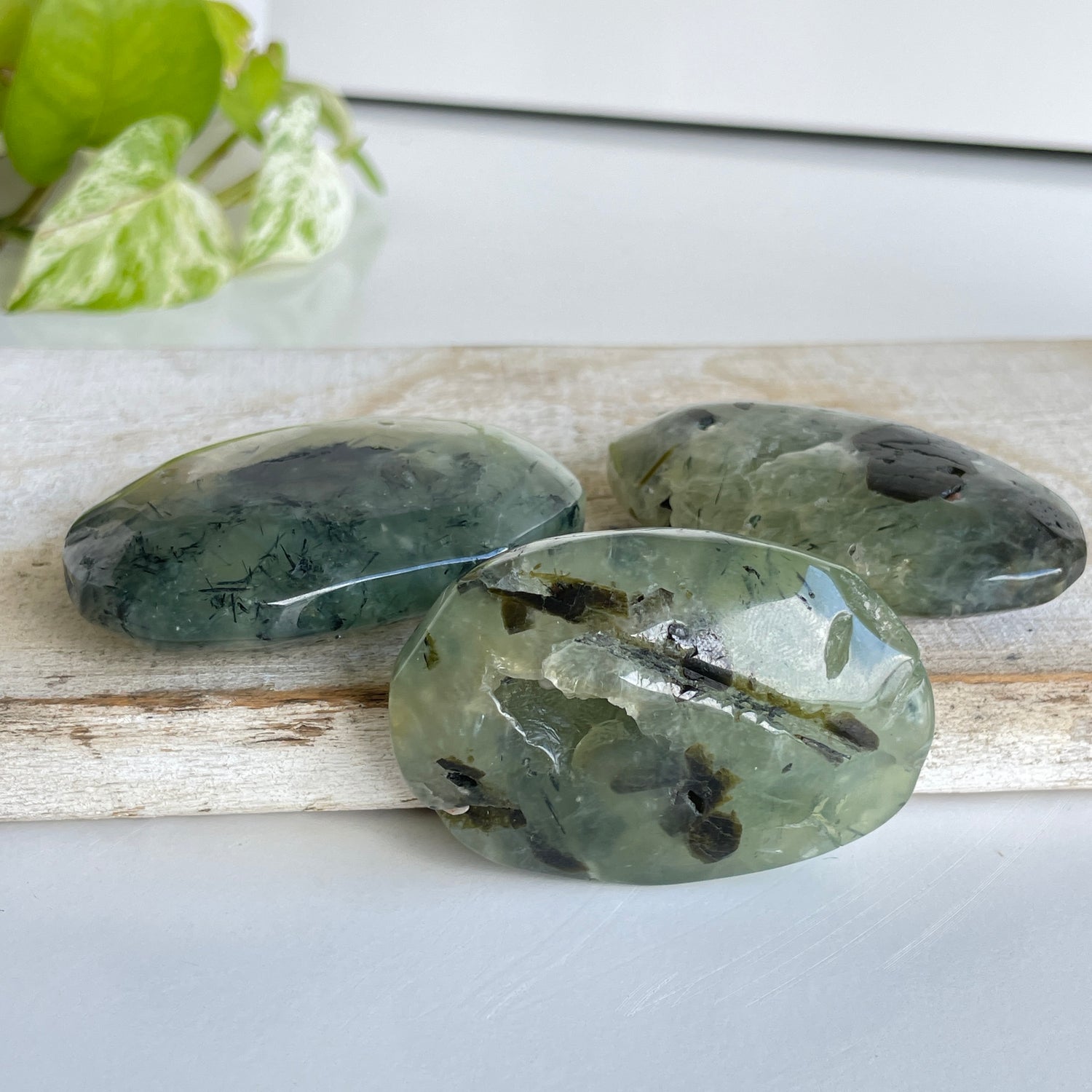 Prehnite Palmstone Medium