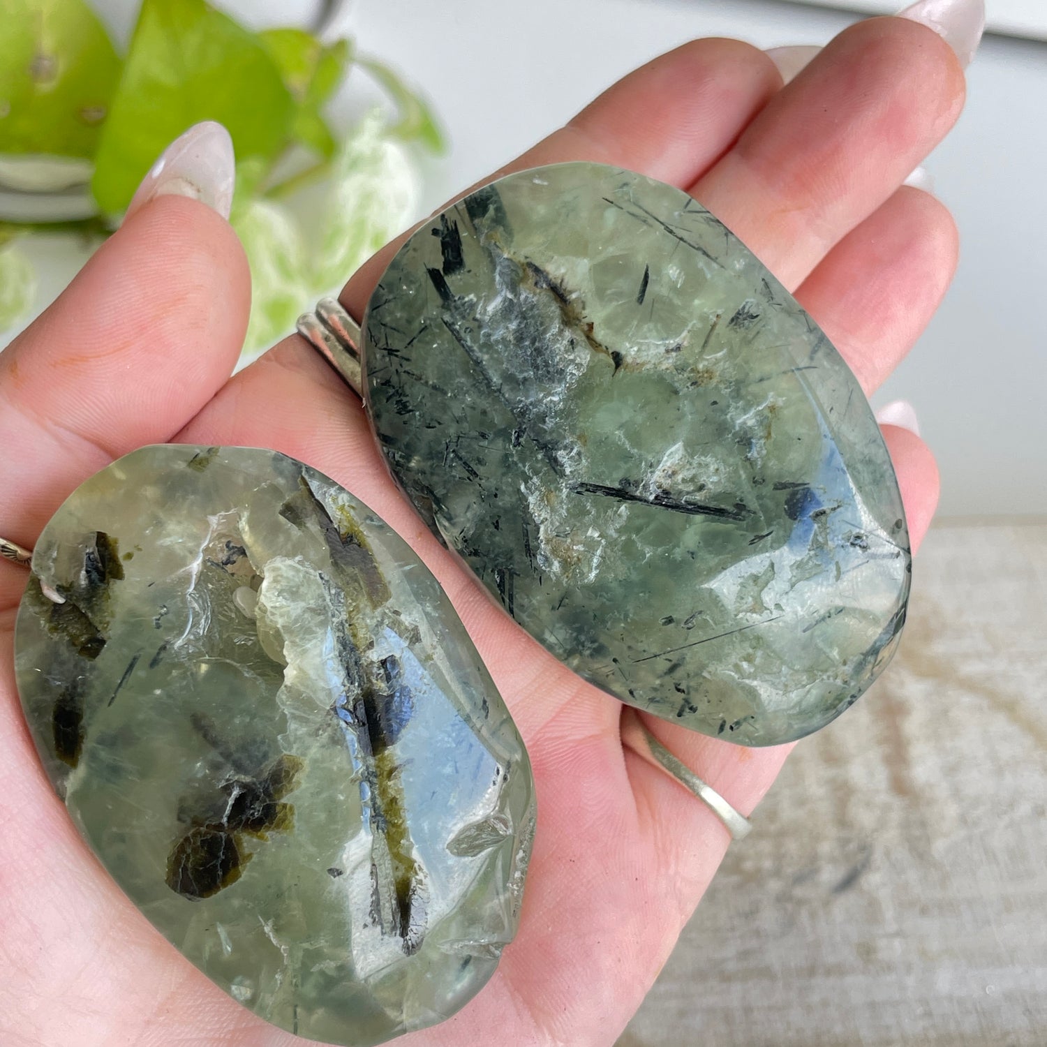 Prehnite Palmstone Medium