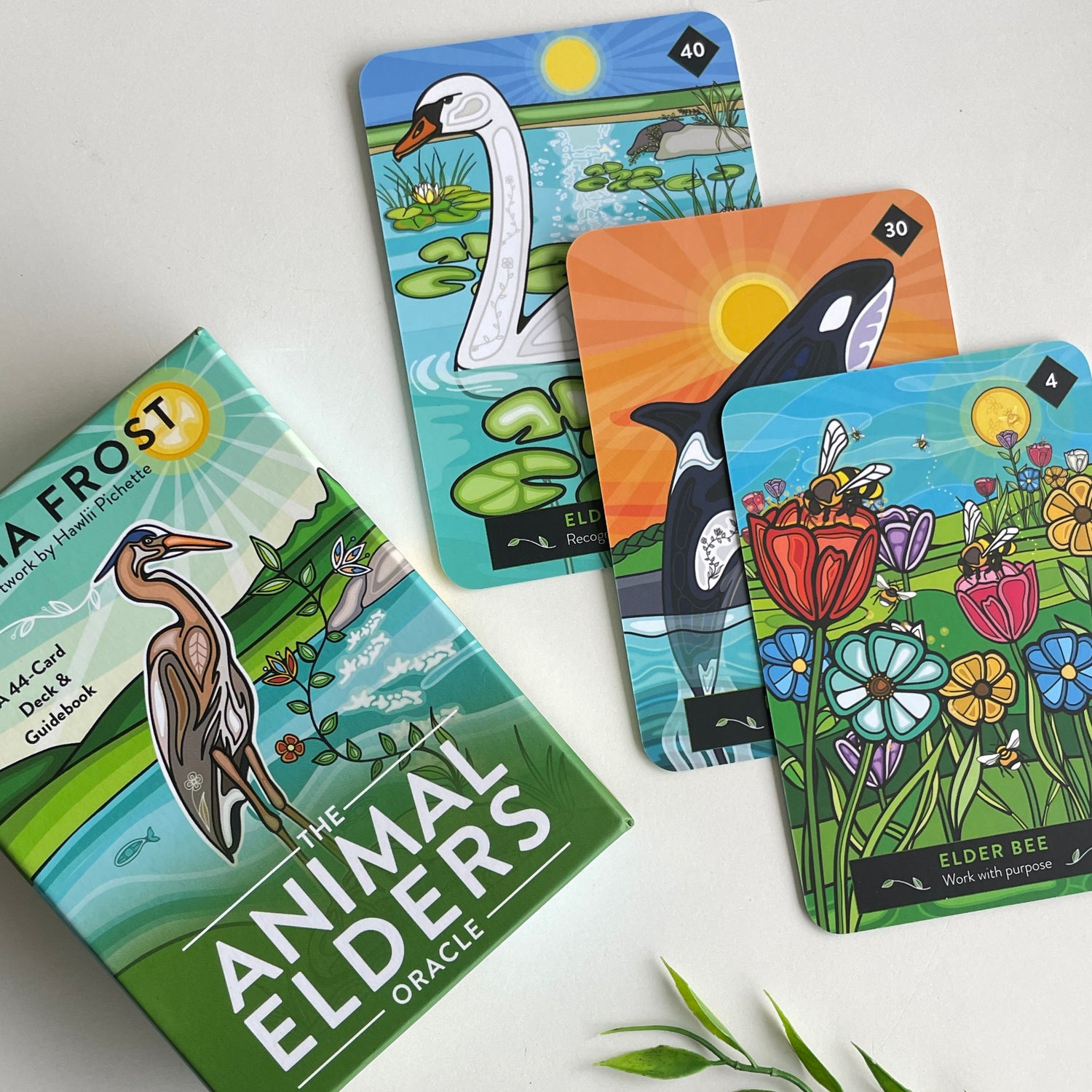 The Animal Elders Oracle Asha Frost