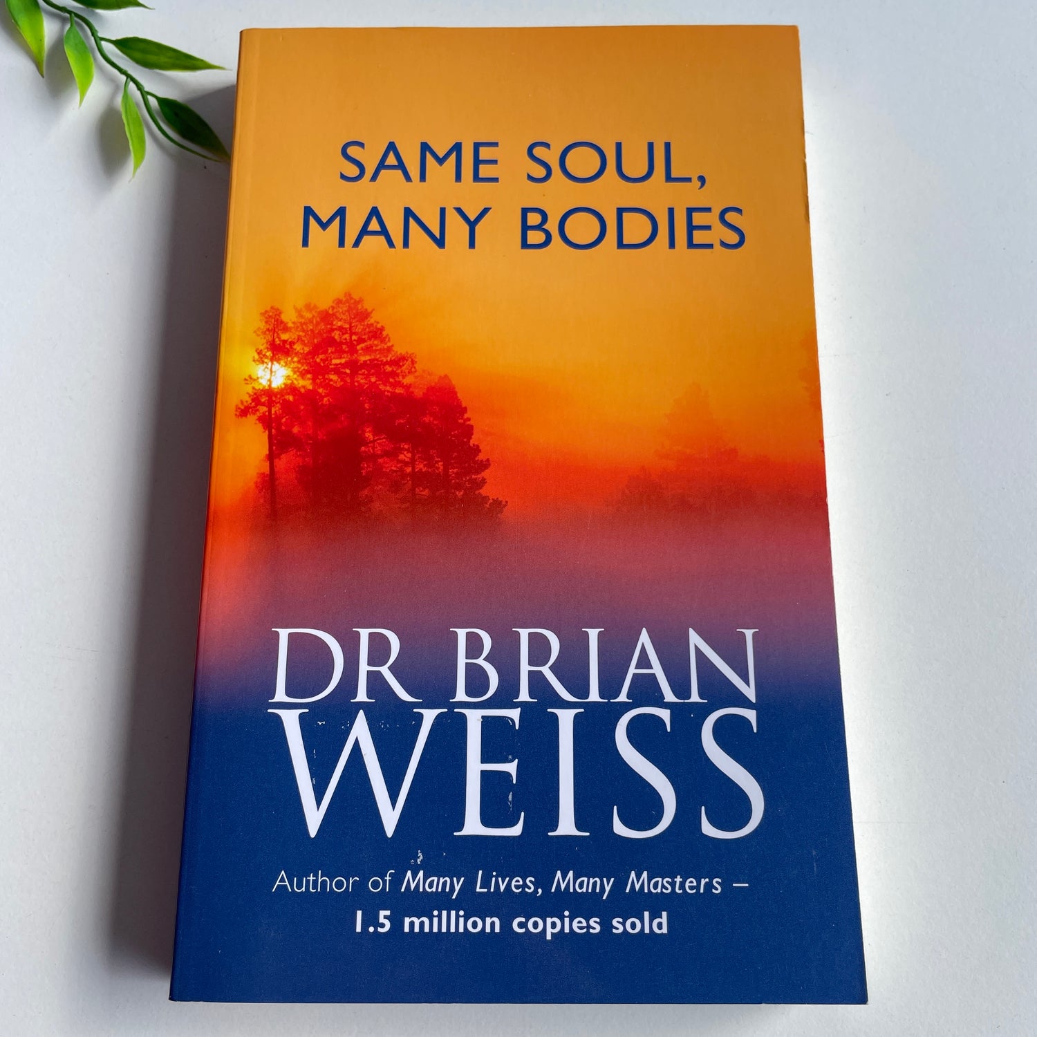 Same Soul Many Bodies Dr. Brian Weiss