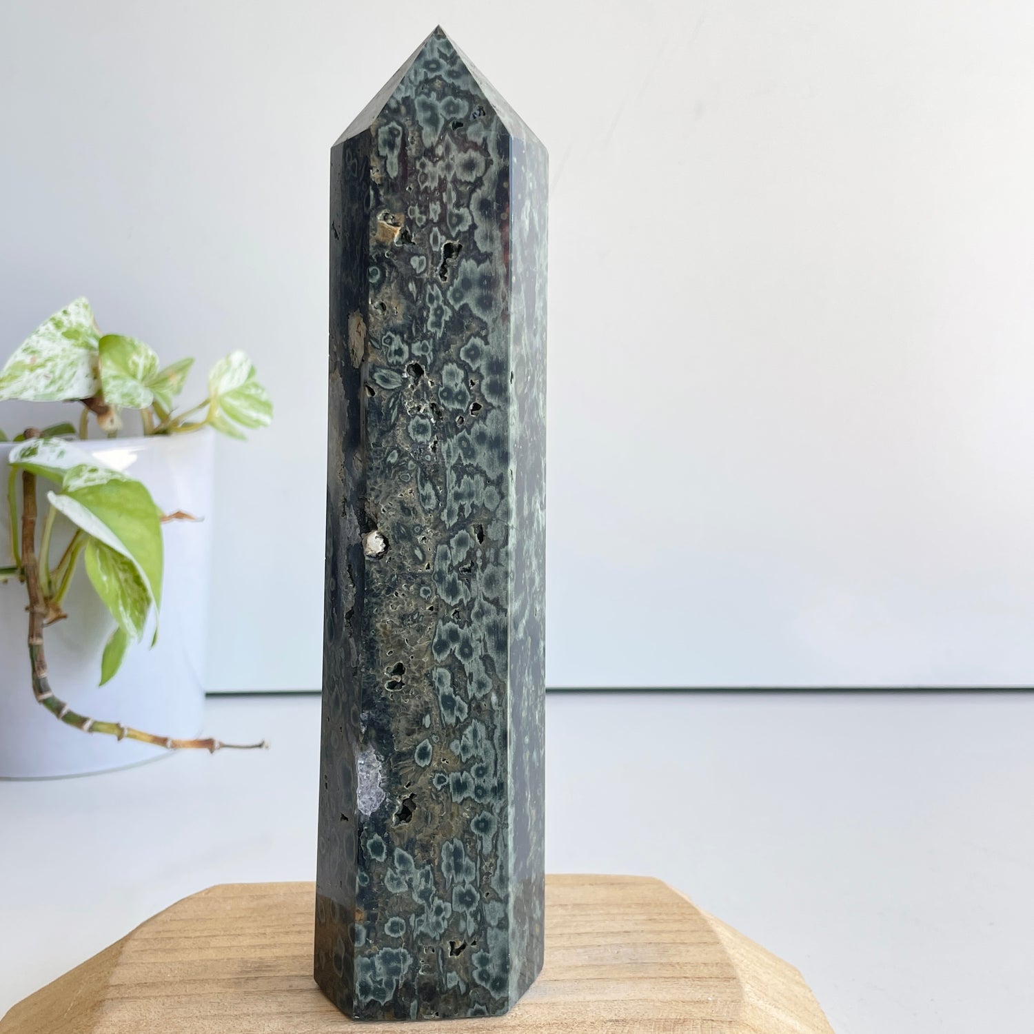 Ocean Jasper Generator 22.4cm