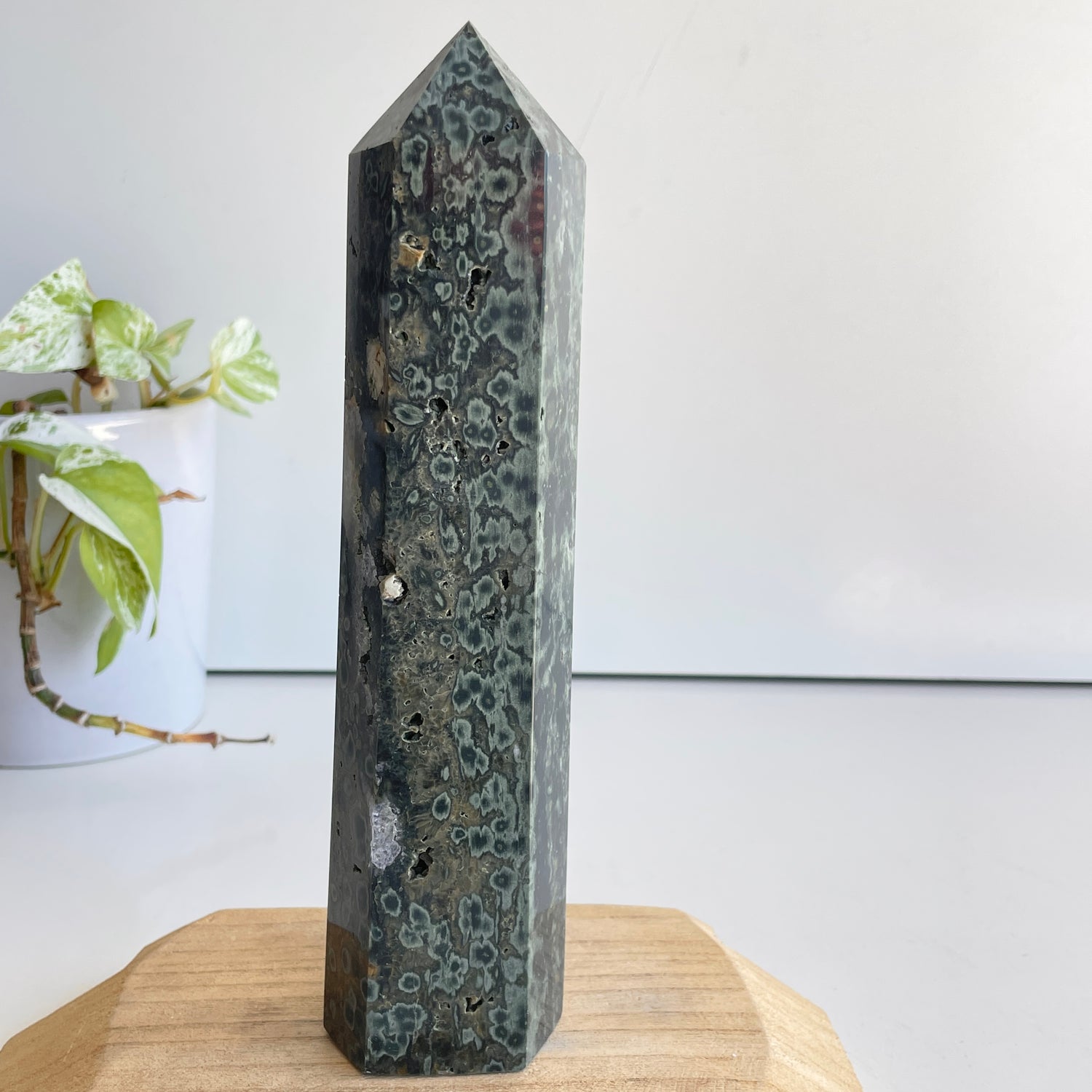 Ocean Jasper Generator 22.4cm