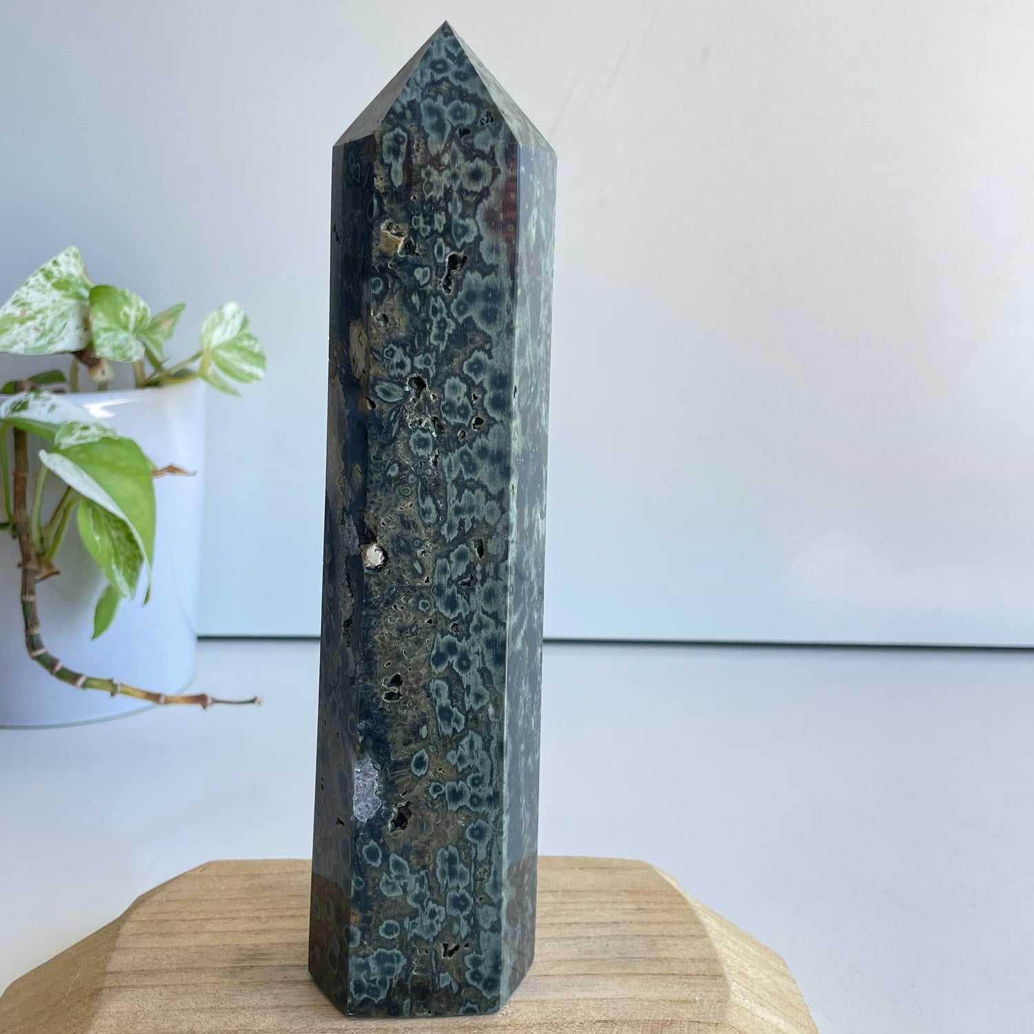 Ocean Jasper Generator 22.4cm