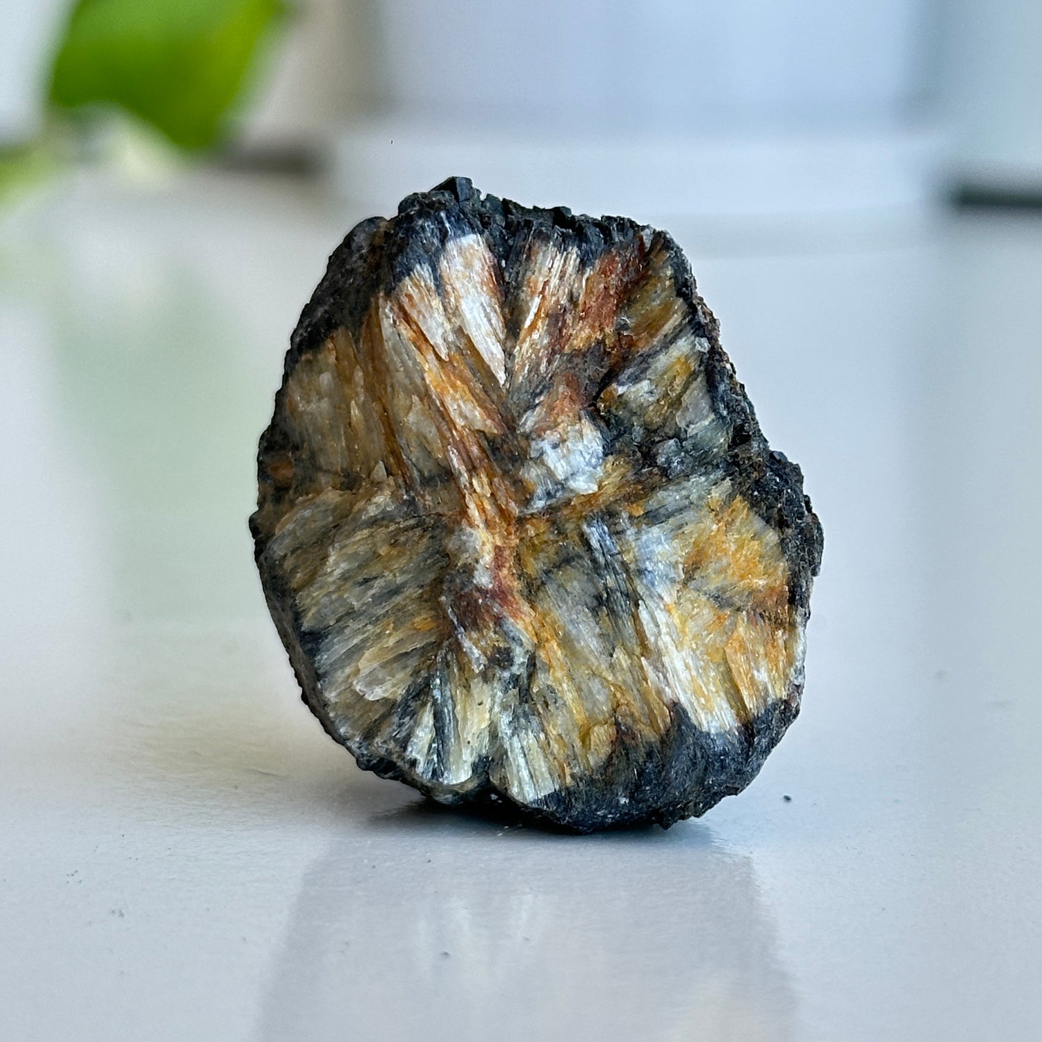 Chiastolite Rough Pc