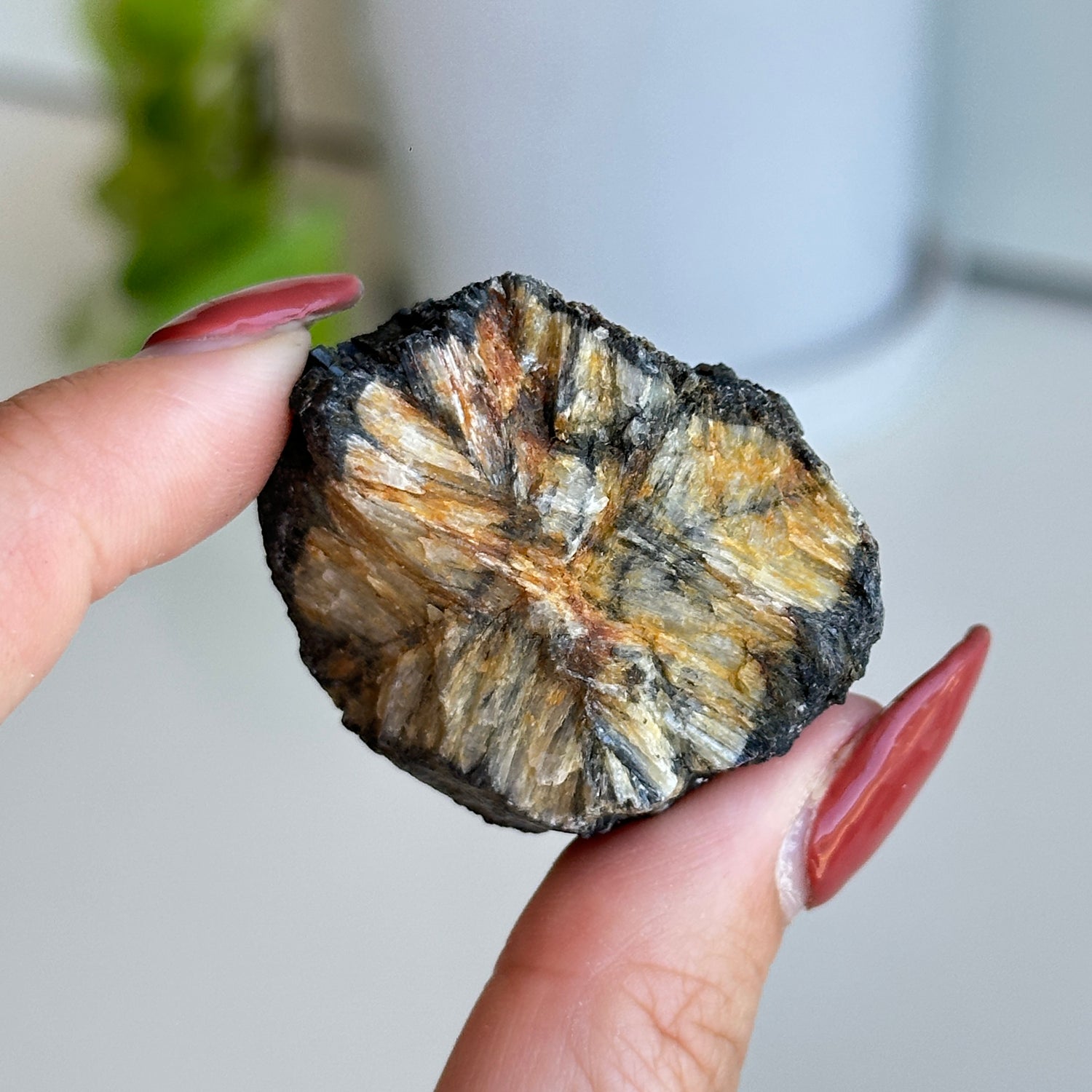 Chiastolite Rough Pc