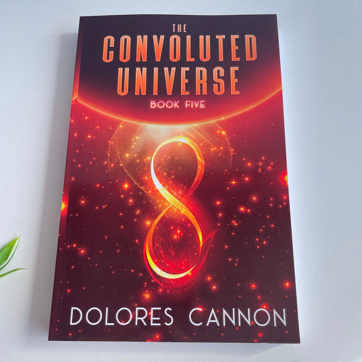 Convoluted Universe Book 5 Dolores Cannon