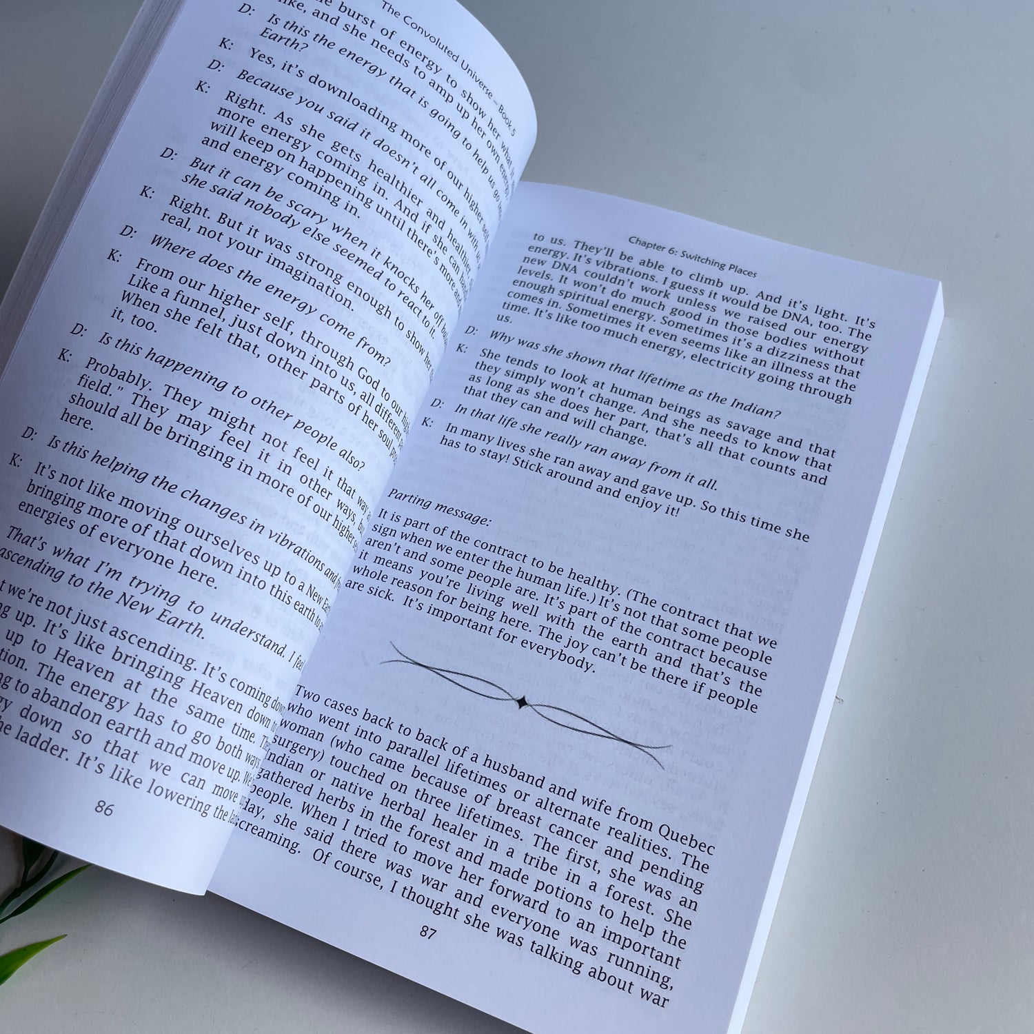 Convoluted Universe Book 5 Dolores Cannon