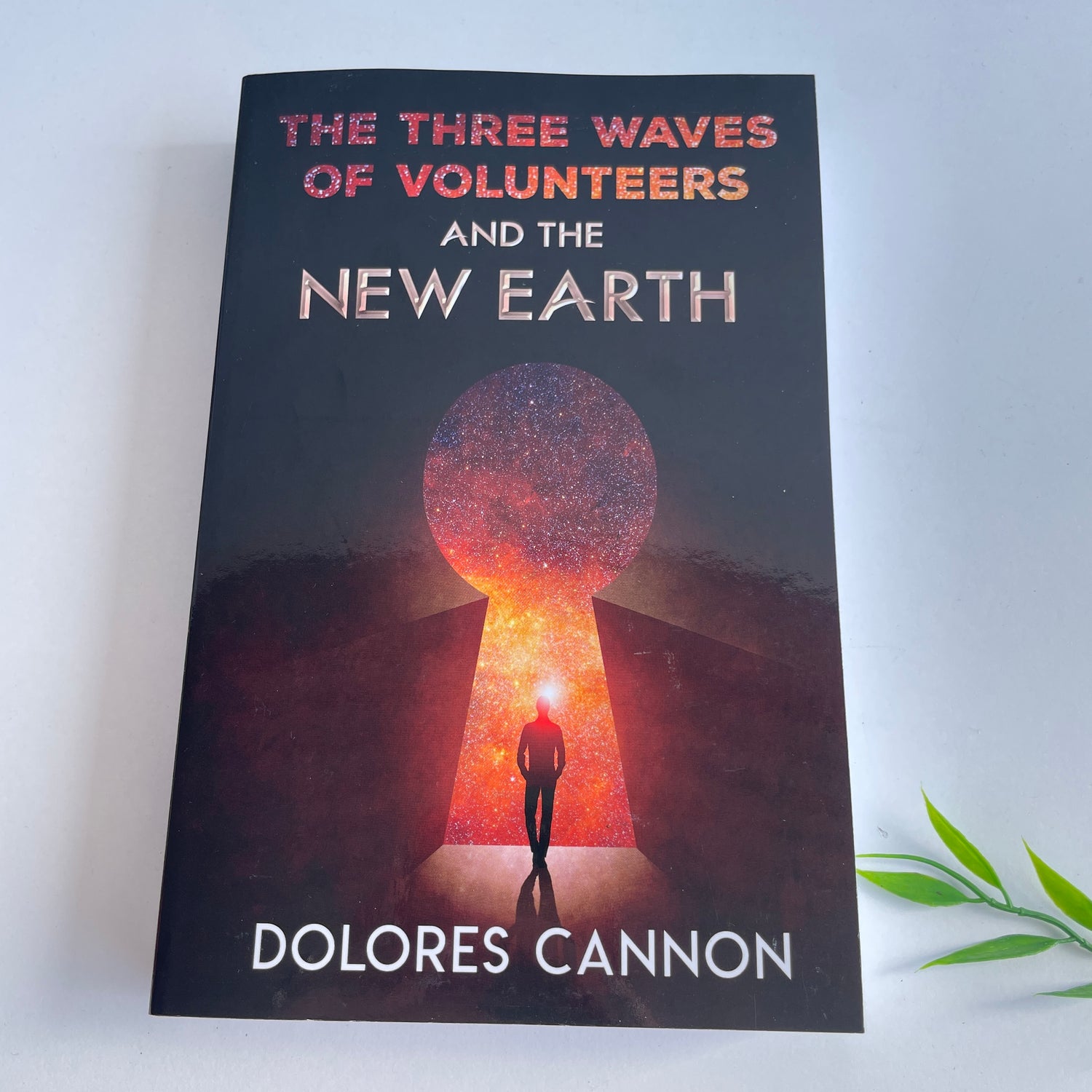 The Three Waves Of Volunteers And The New Earth Dolores Cannon