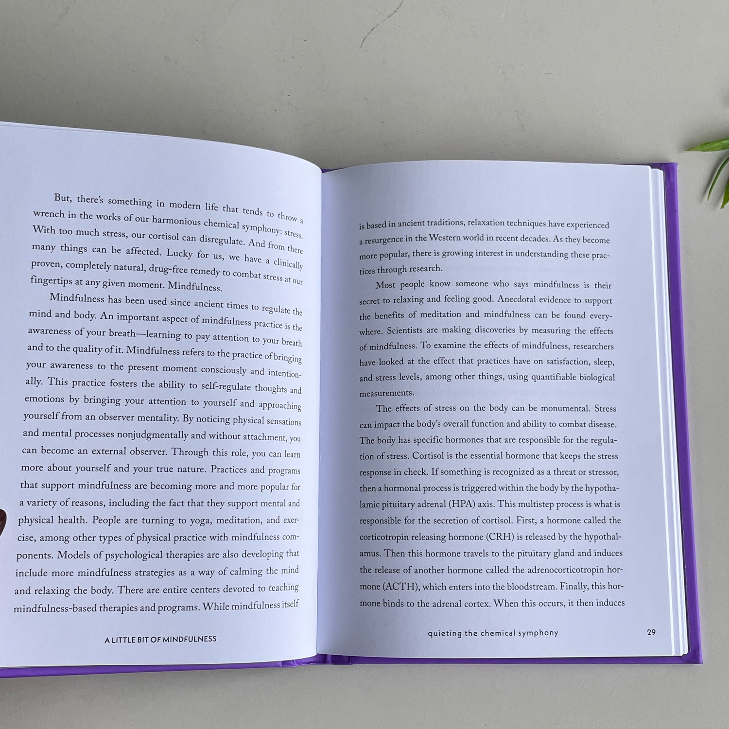 A Little Bit Of Mindfulness Amy Mercree