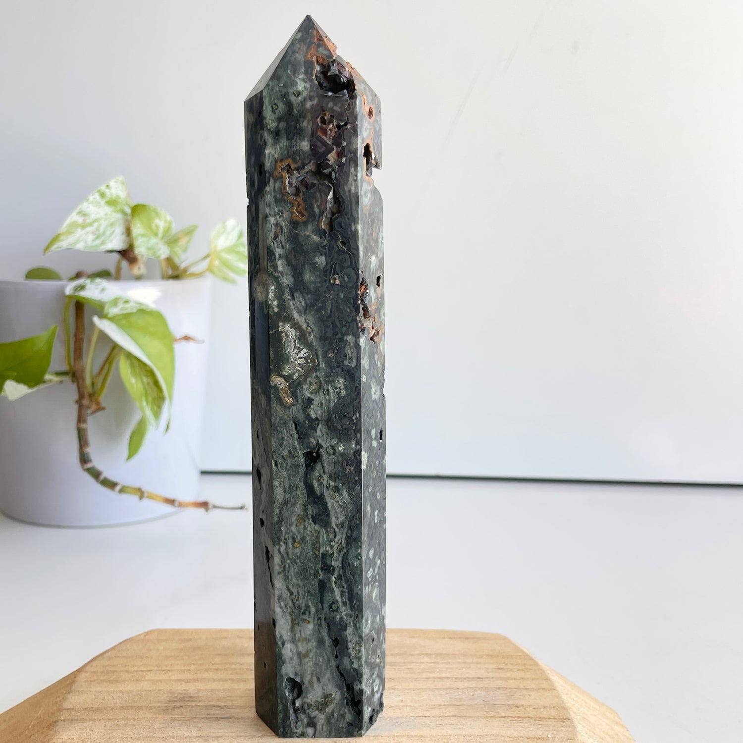 Ocean Jasper Generator 20.1cm
