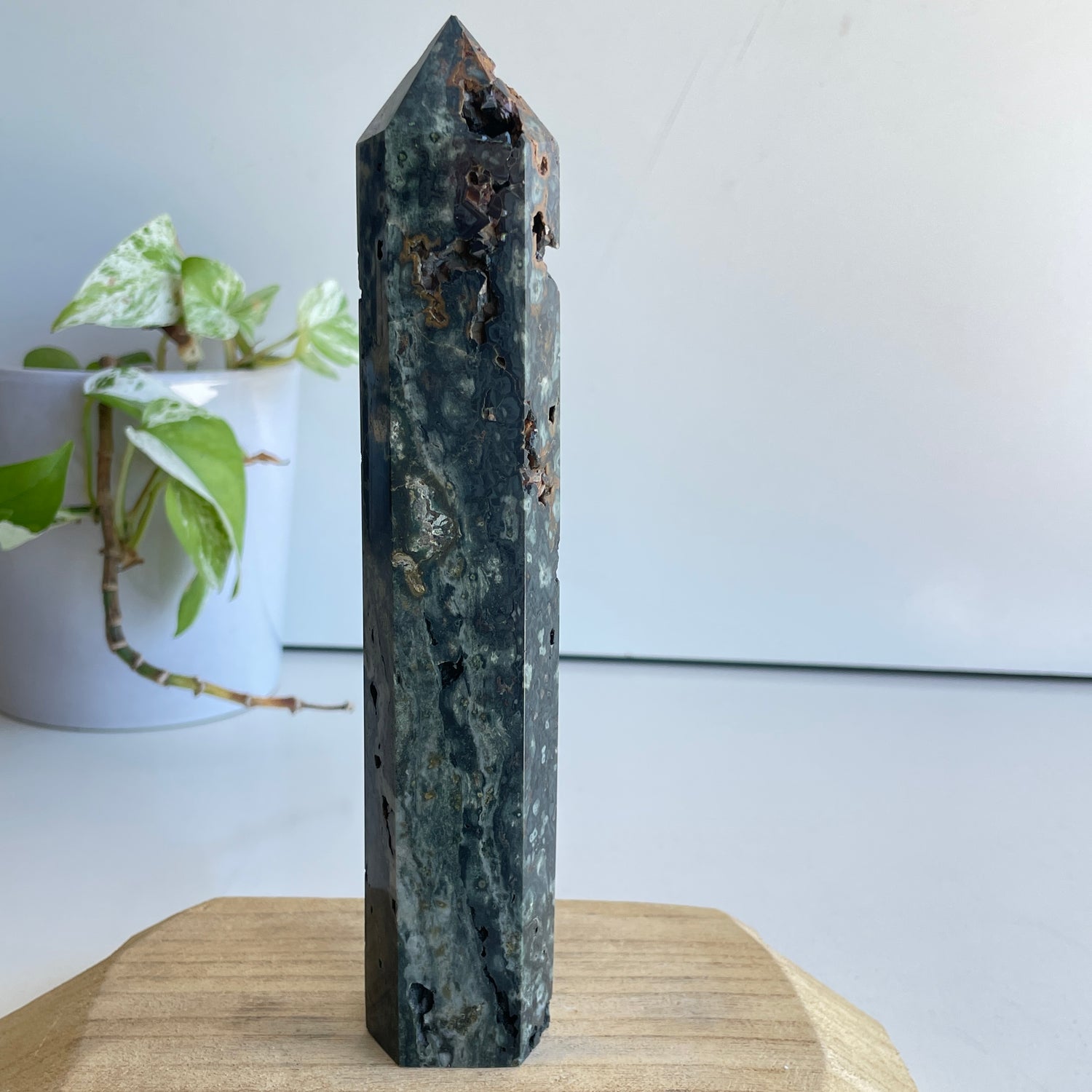 Ocean Jasper Generator 20.1cm