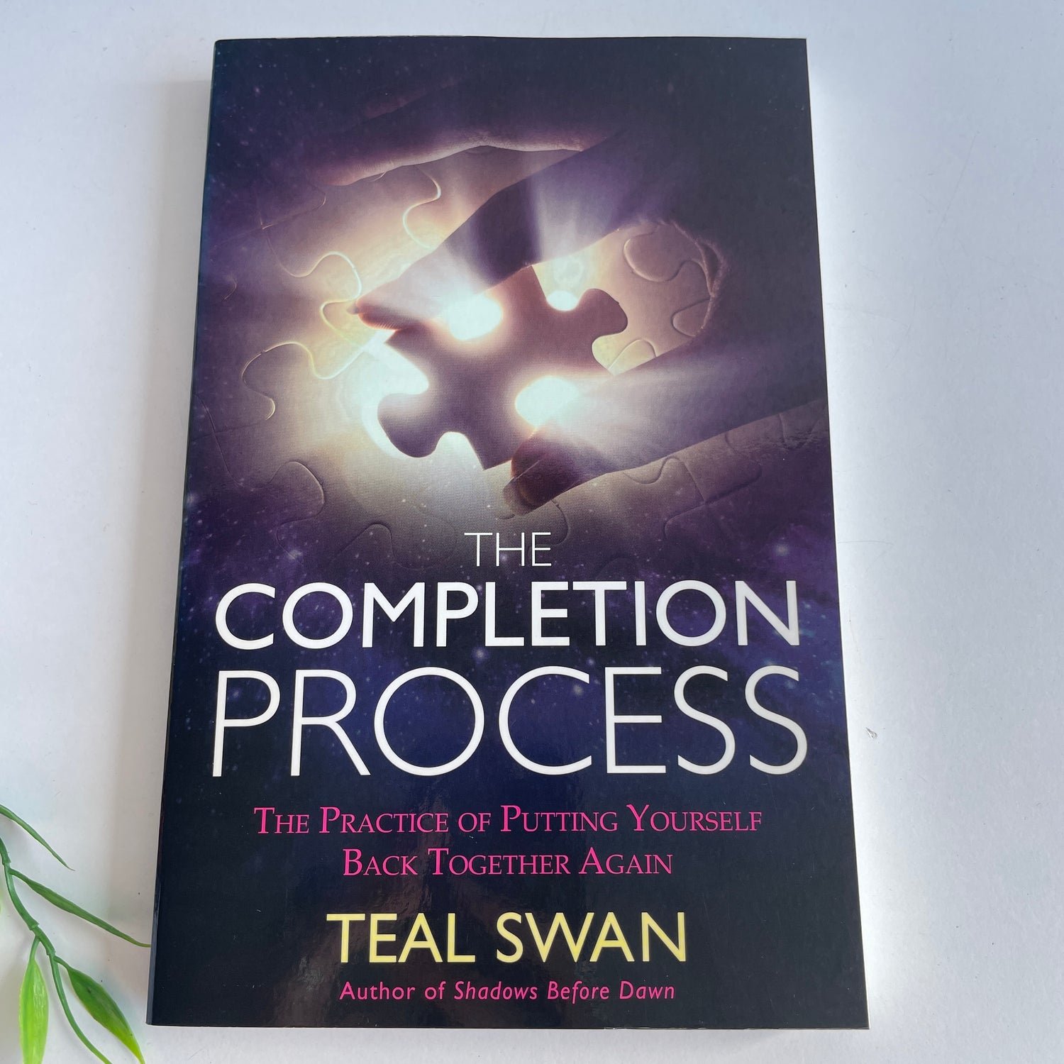 The Completion Process Teal Swan