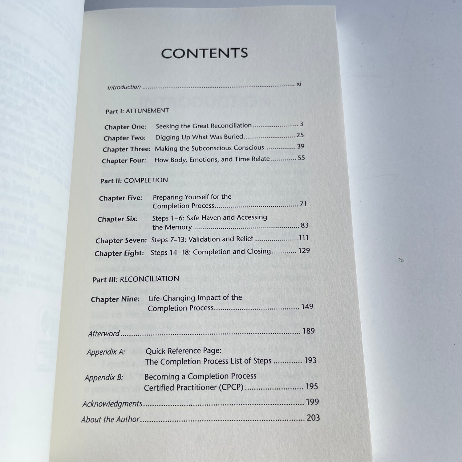 The Completion Process Teal Swan