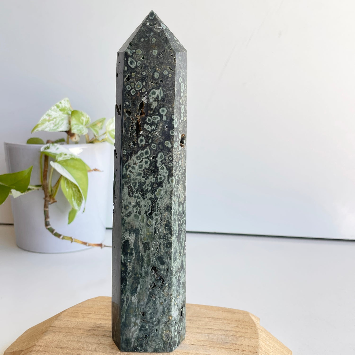 Ocean Jasper Generator 22.4cm