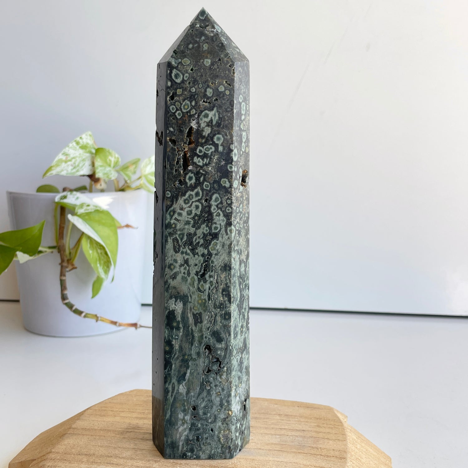 Ocean Jasper Generator 22.4cm