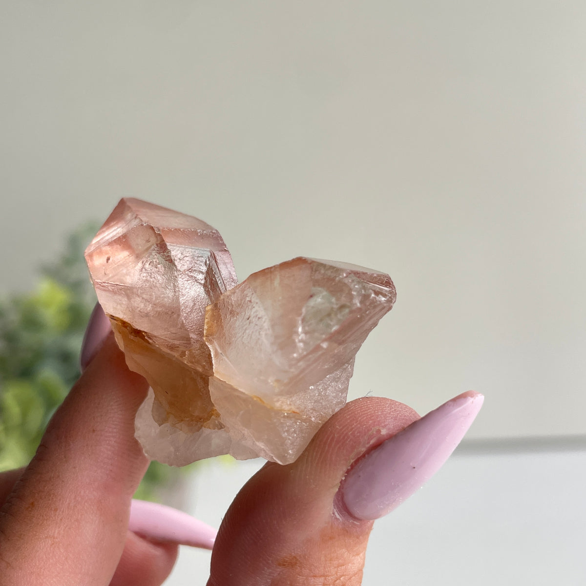 Pink Lemurian Quartz Point 26g