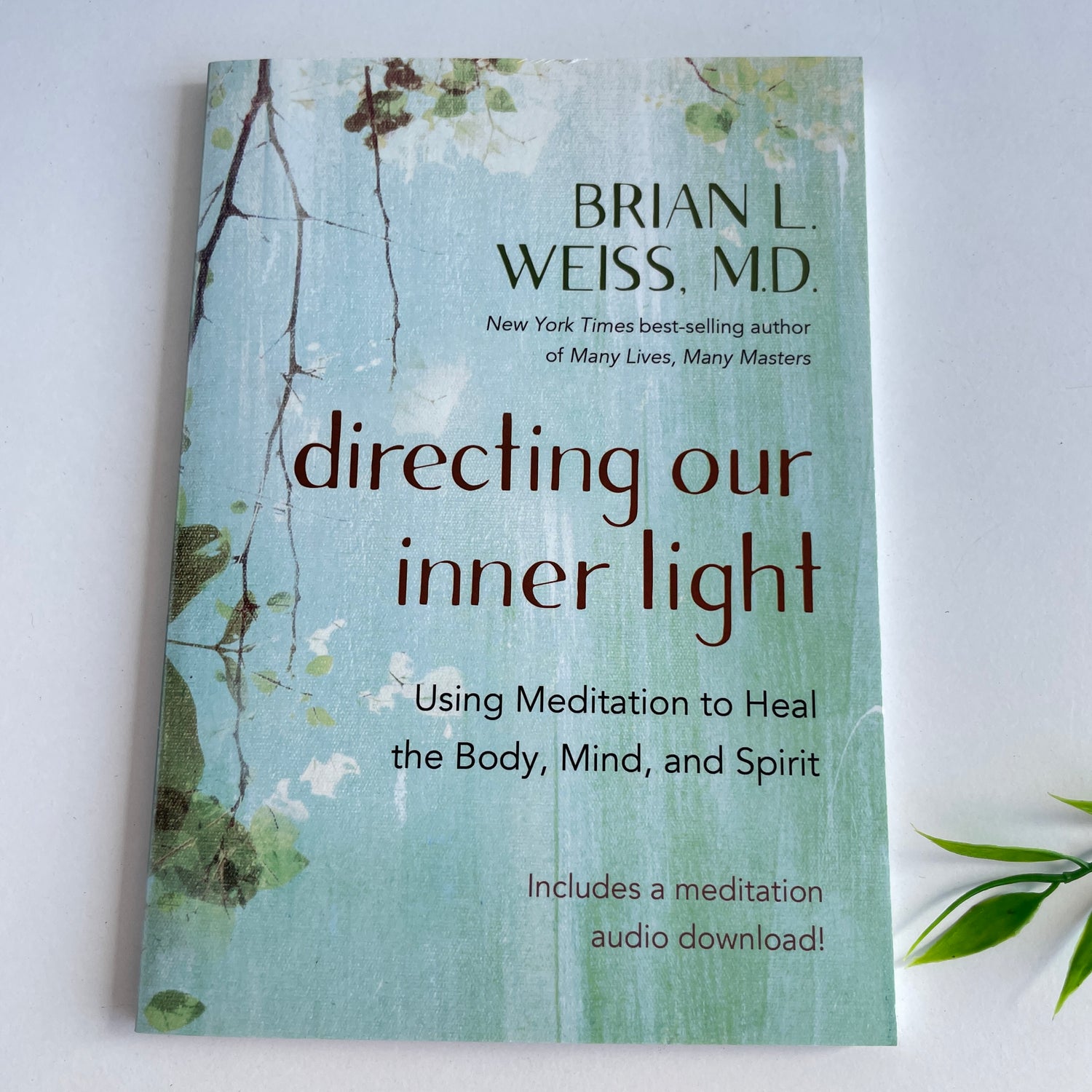 Directing Our Inner Light Brian Weiss