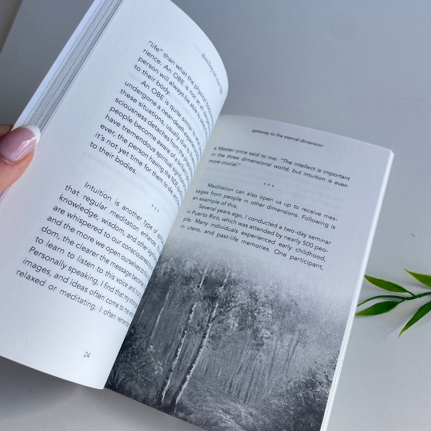 Directing Our Inner Light Brian Weiss