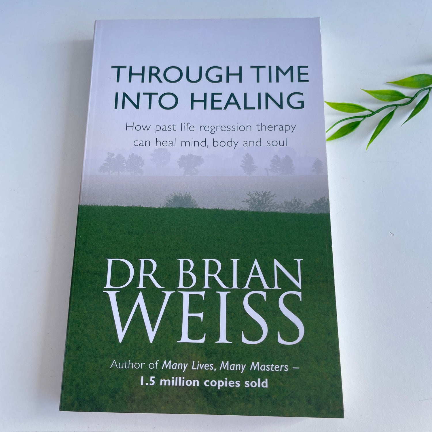 Through Time into Healing Brian Weiss