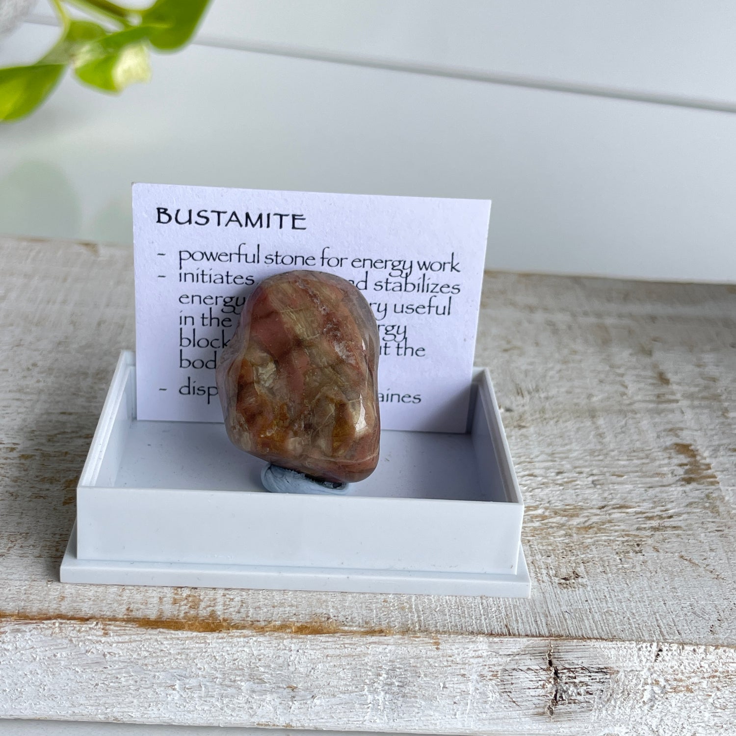 Bustamite Specimen 002