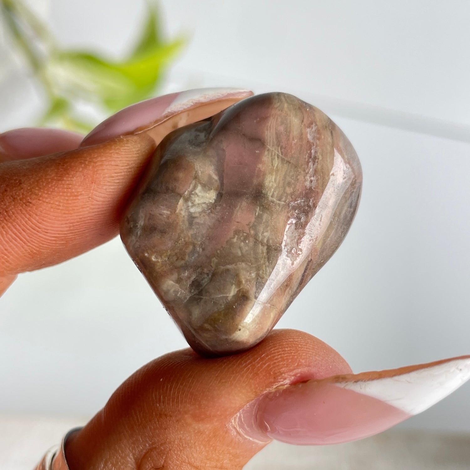 Bustamite Specimen 002