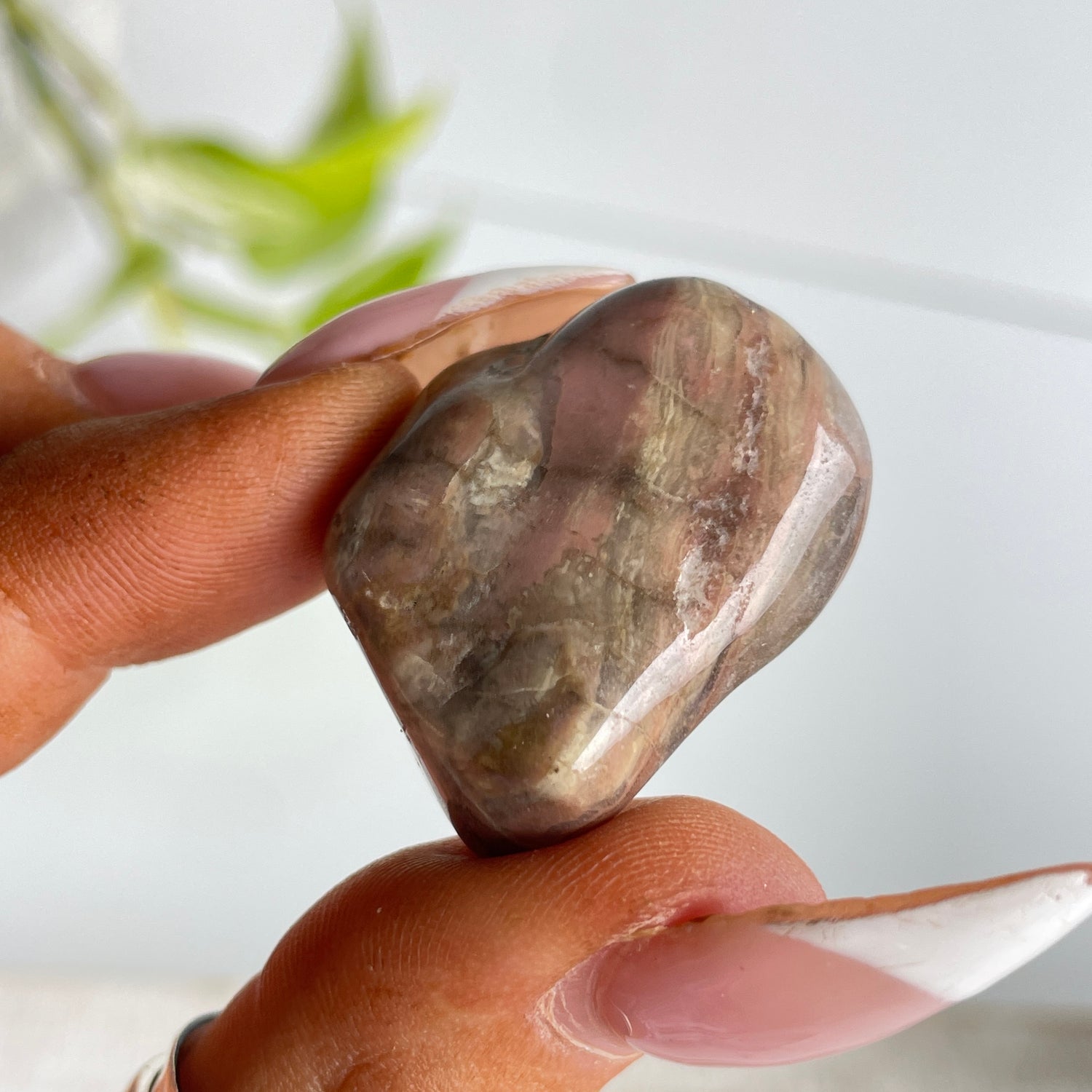 Bustamite Specimen 002