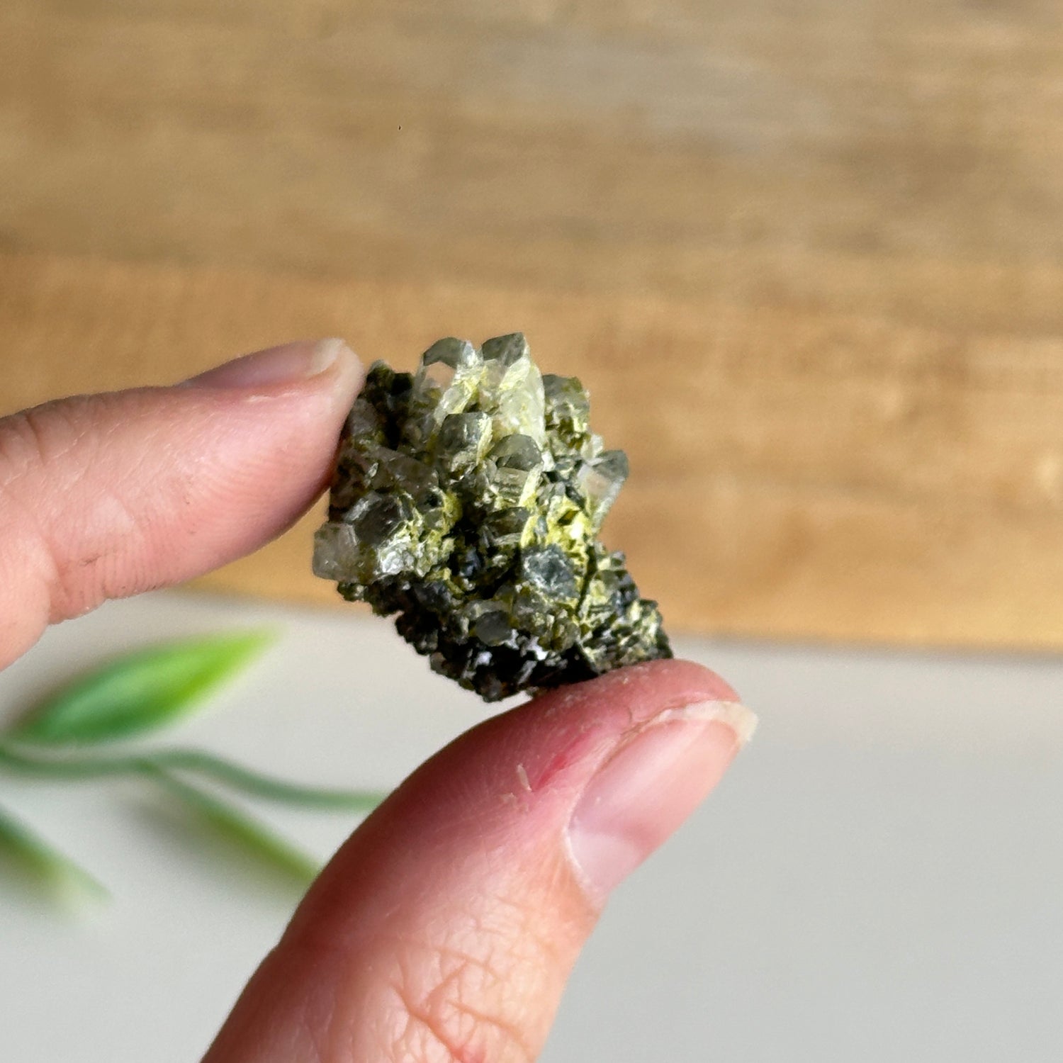 Epidote & Quartz Cluster 6g - High Quality