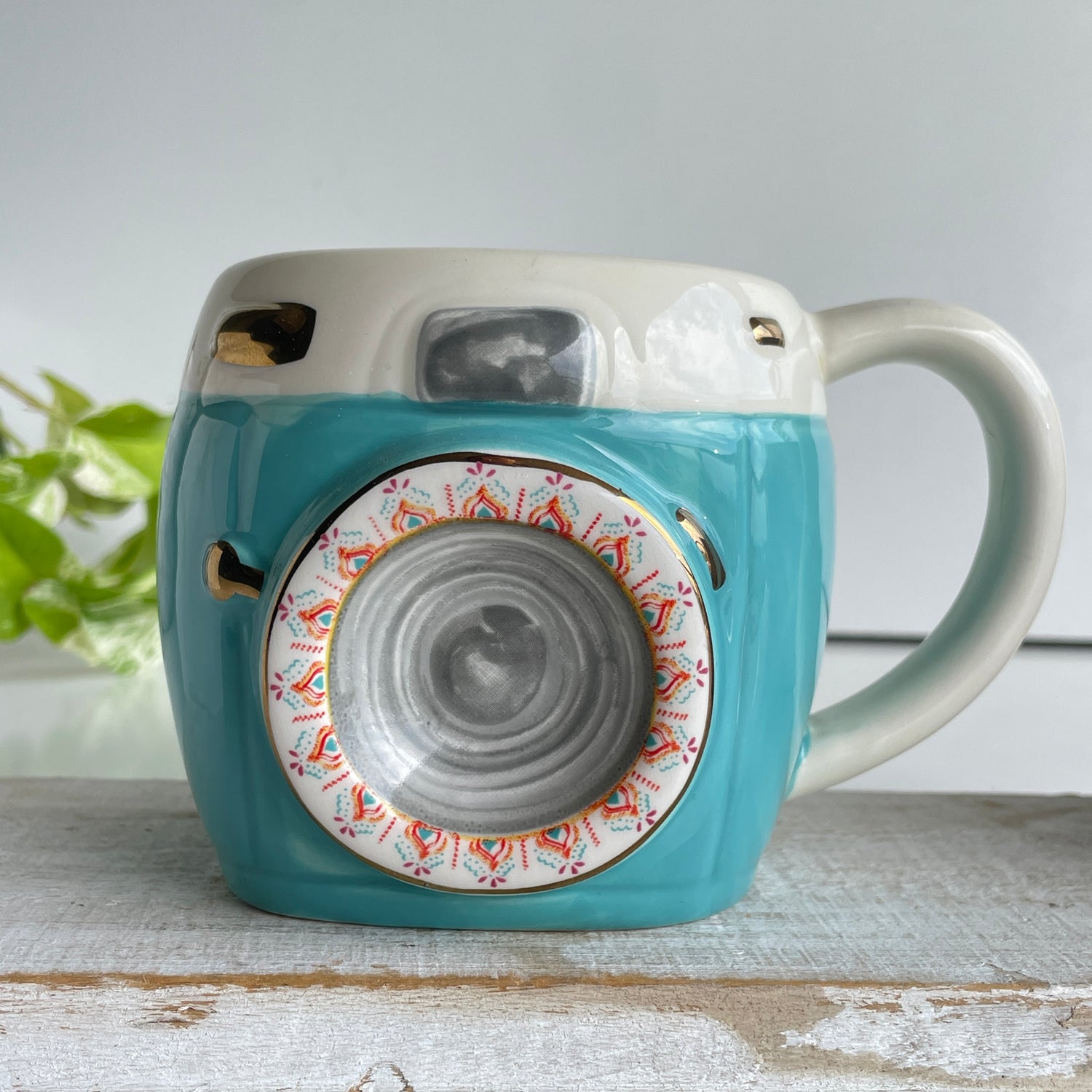 Camera Mug MUG290