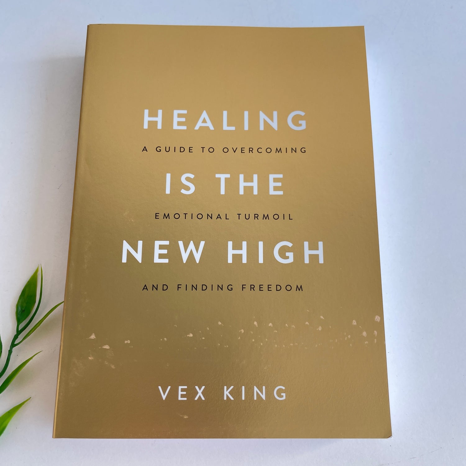 Healing is the New High Vex King
