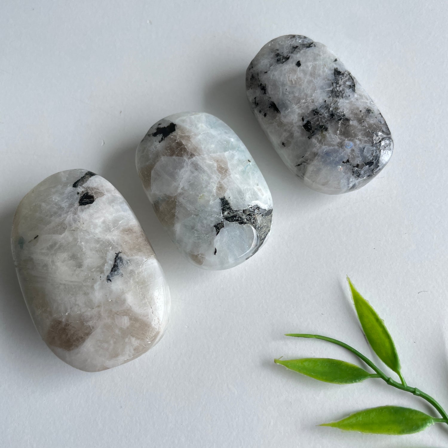 Moonstone Palmstone Medium Assorted