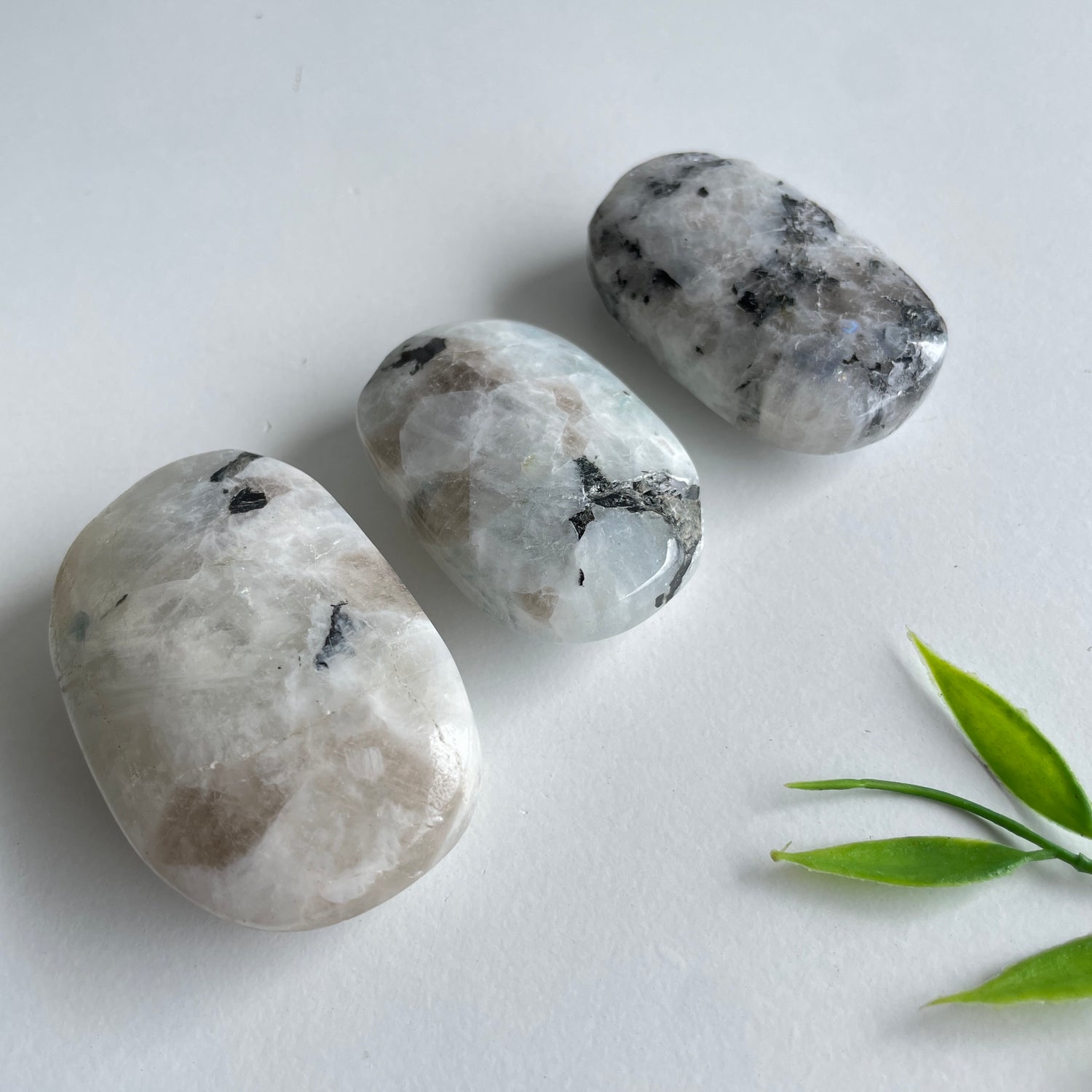 Moonstone Palmstone Medium Assorted