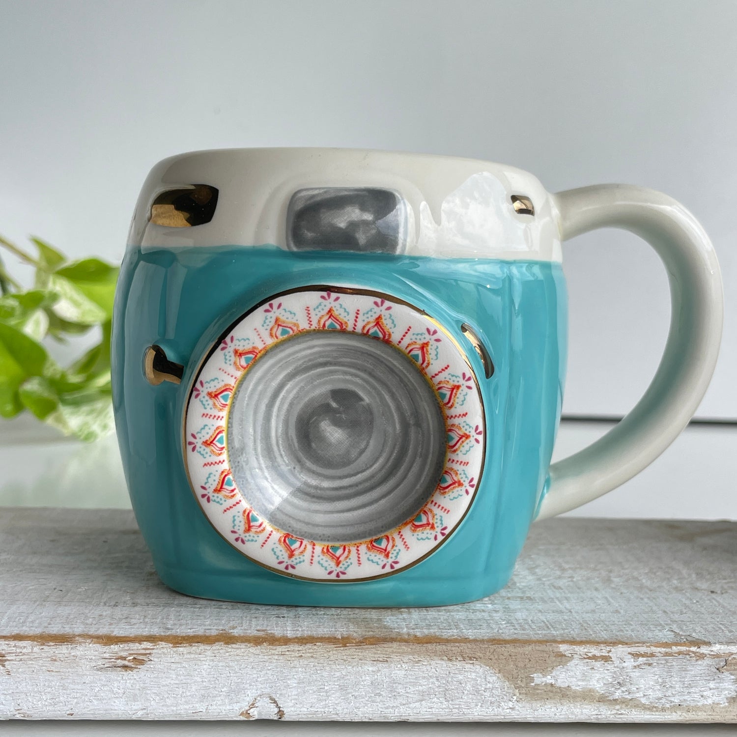 Camera Mug MUG290