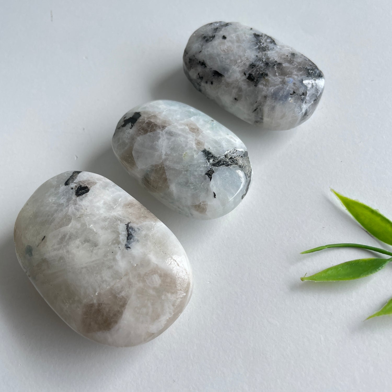 Moonstone Palmstone Medium Assorted