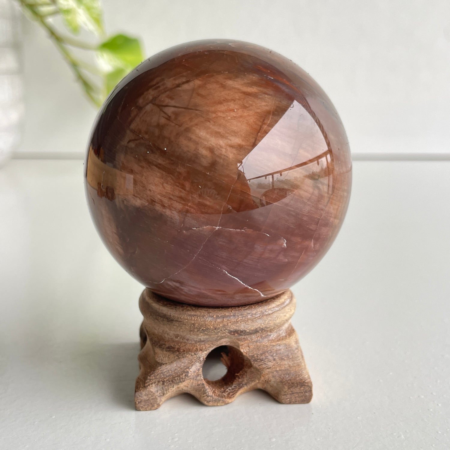 Petrified Wood Sphere 6.5cm