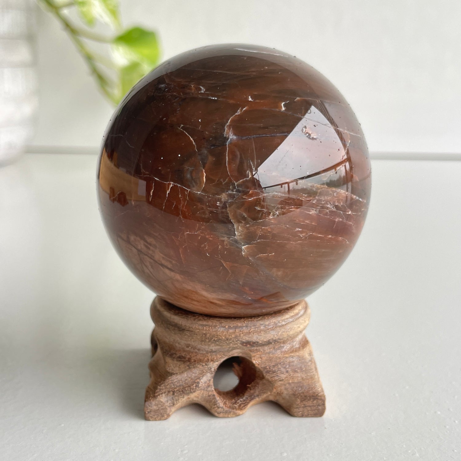 Petrified Wood Sphere 6.5cm