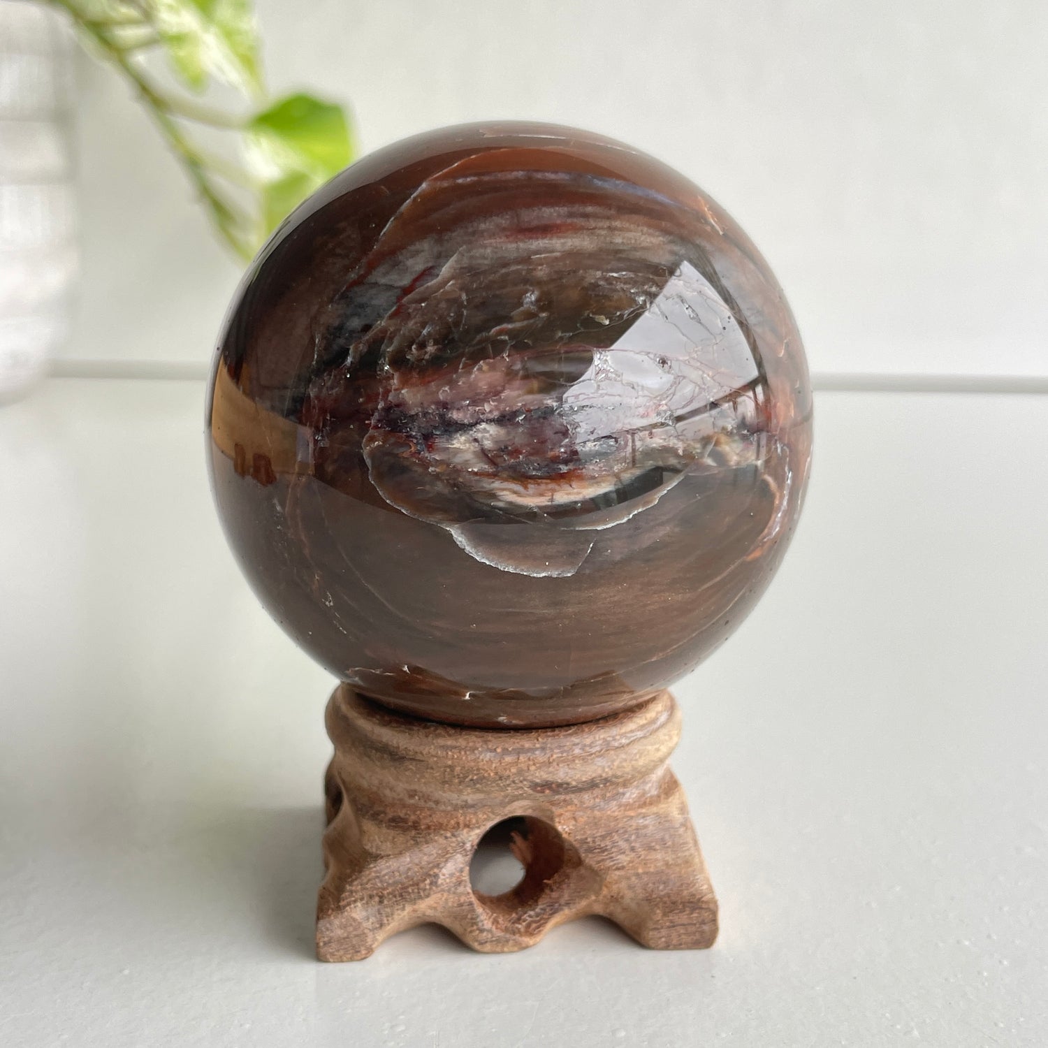 Petrified Wood Sphere 6.5cm