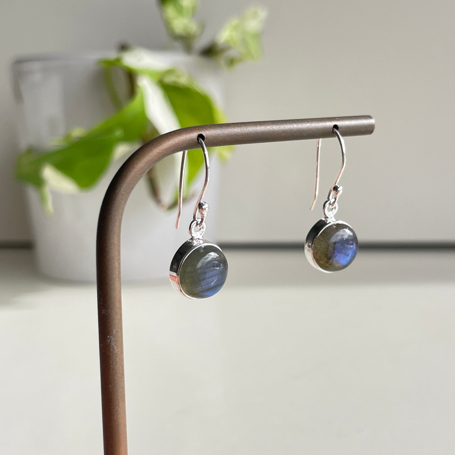 Labradorite Round Earrings