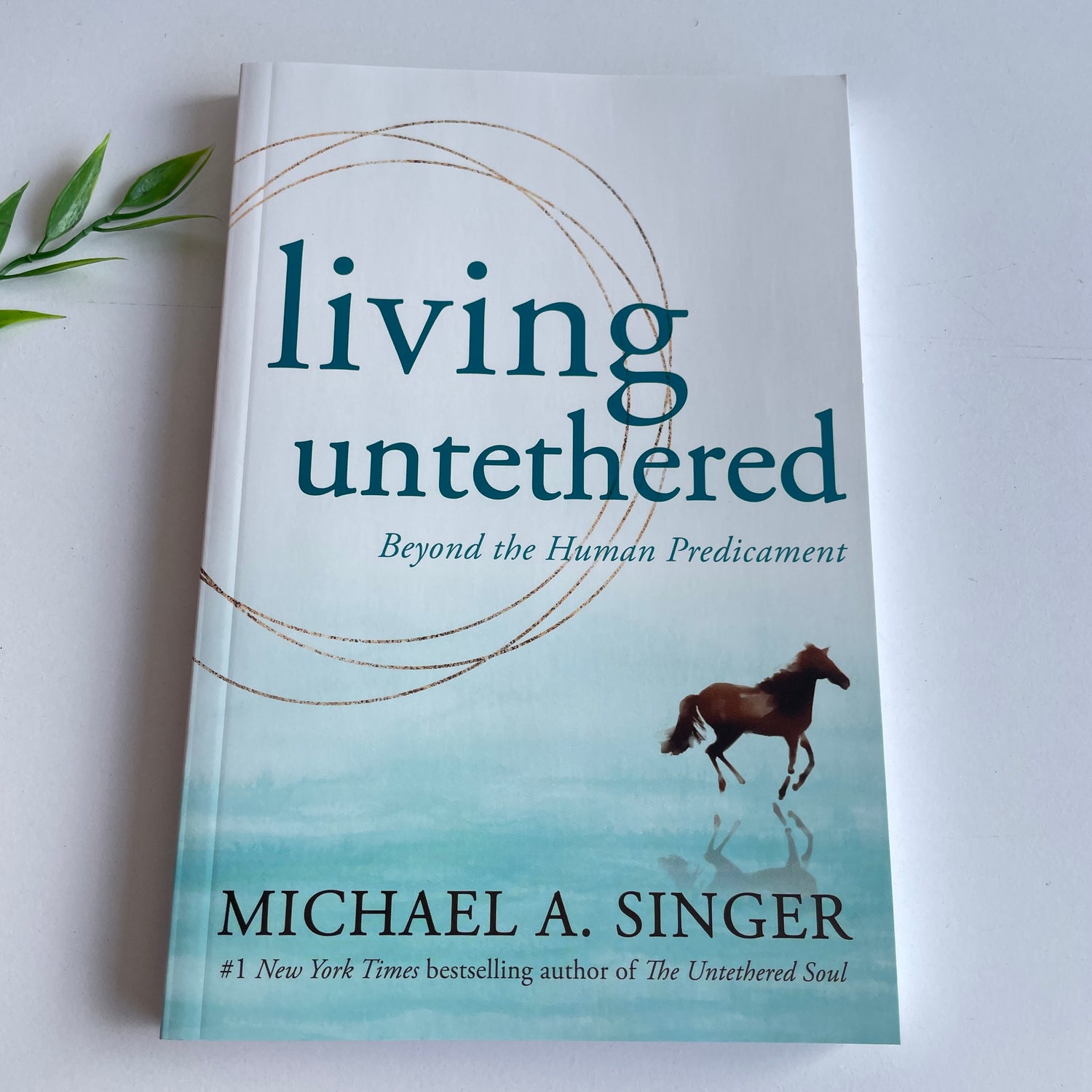 Living Untethered Michael Singer