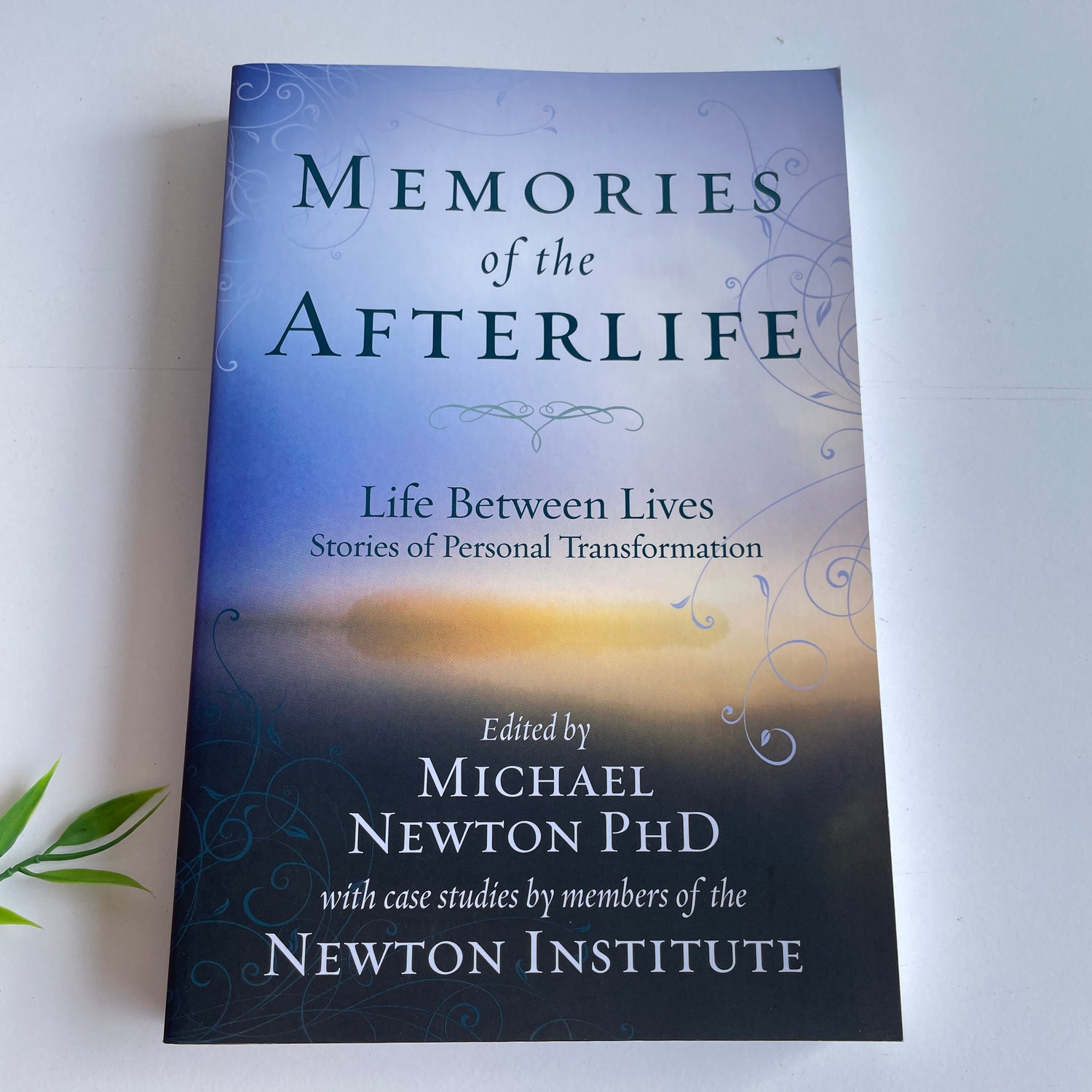 Memories of the Afterlife Michael Newton