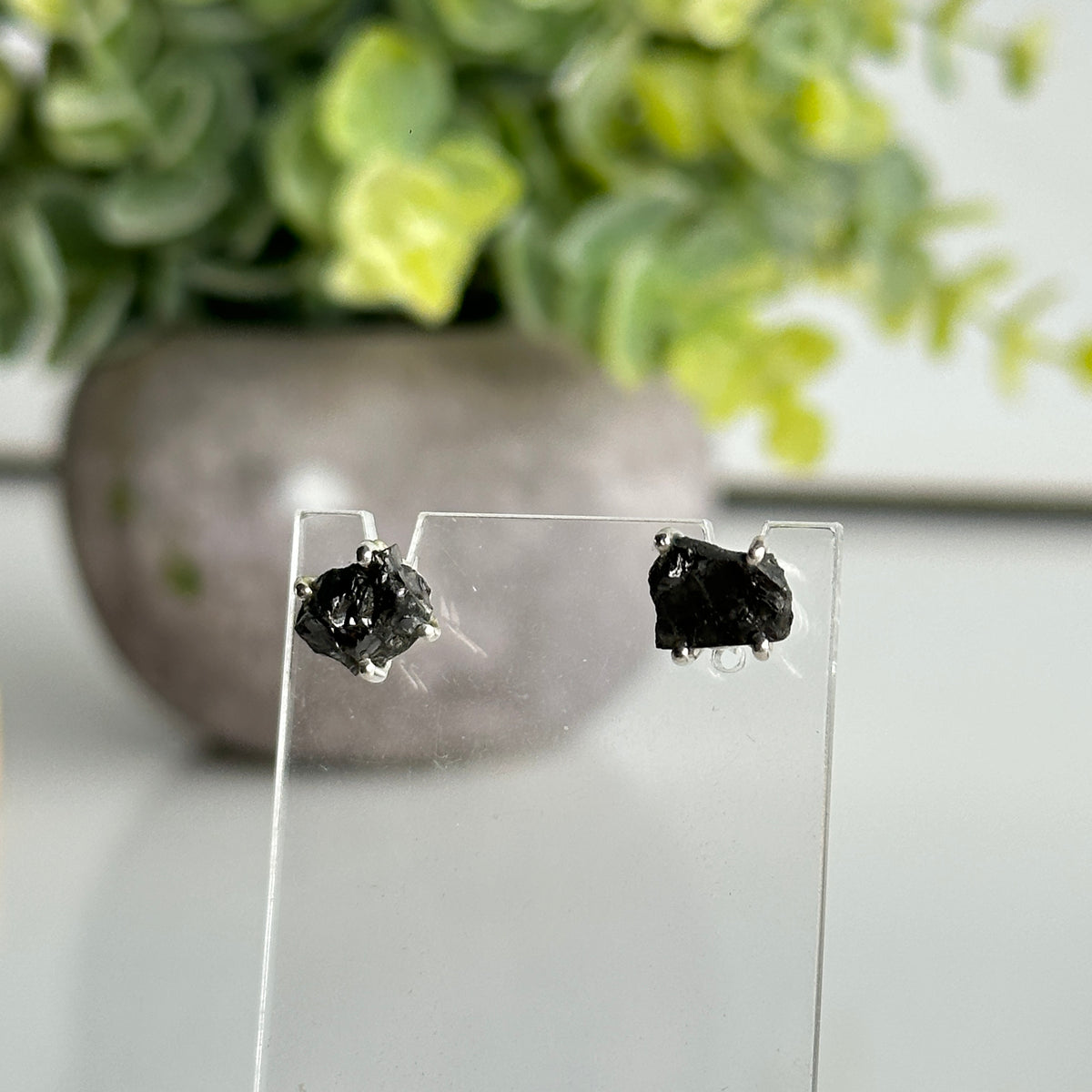 Shungite Stud Earrings