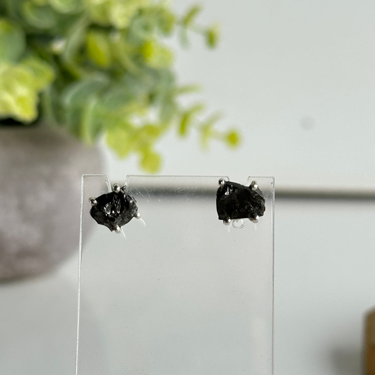 Shungite Stud Earrings