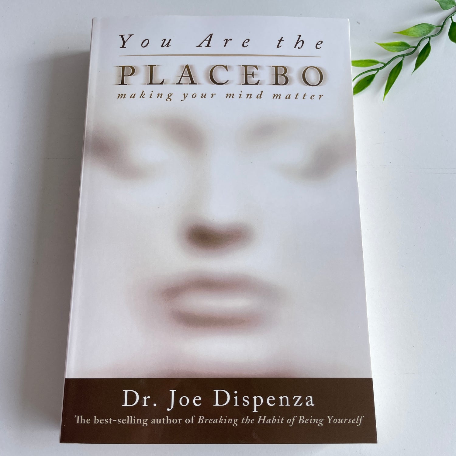 You Are The Placebo Dr. Joe Dispenza