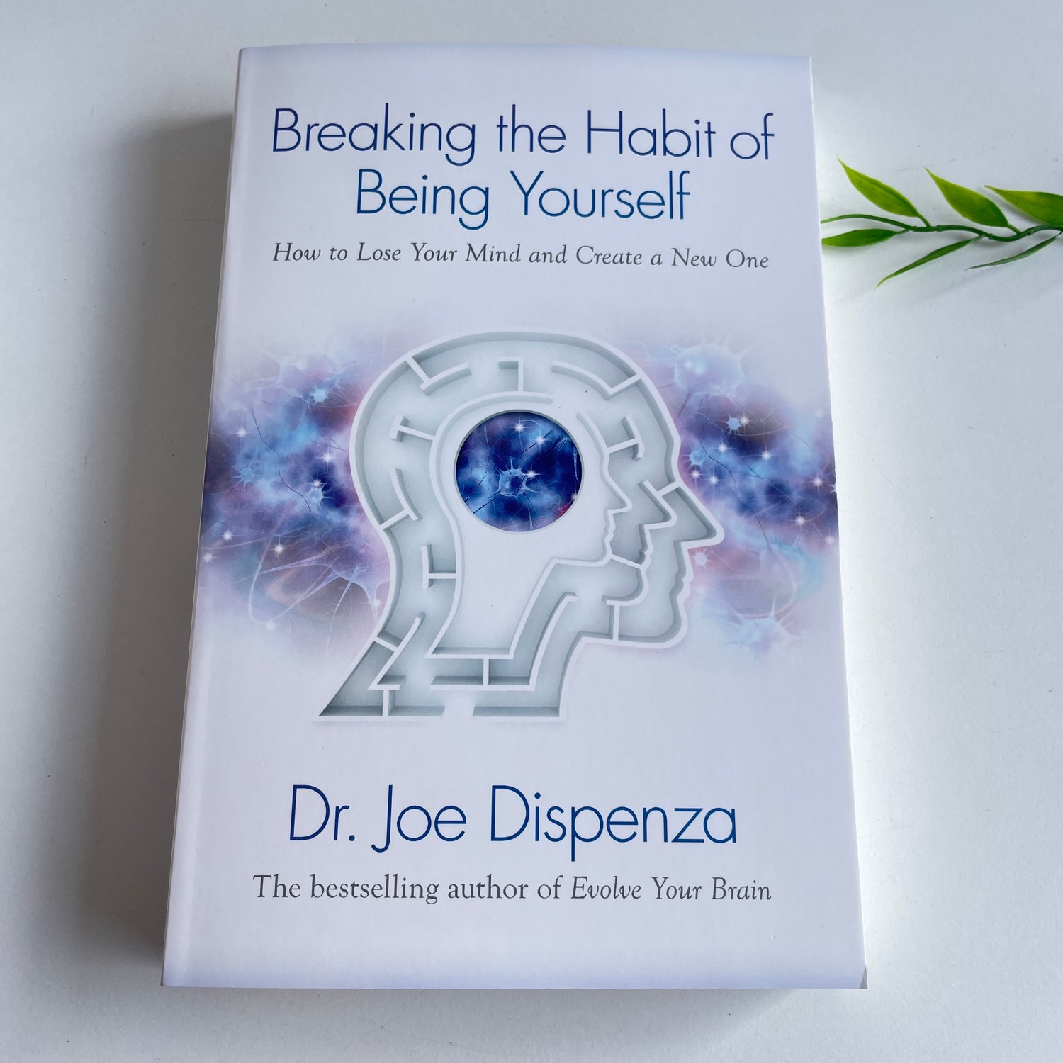 Breaking The Habit Of Being Yourself Joe Dispenza